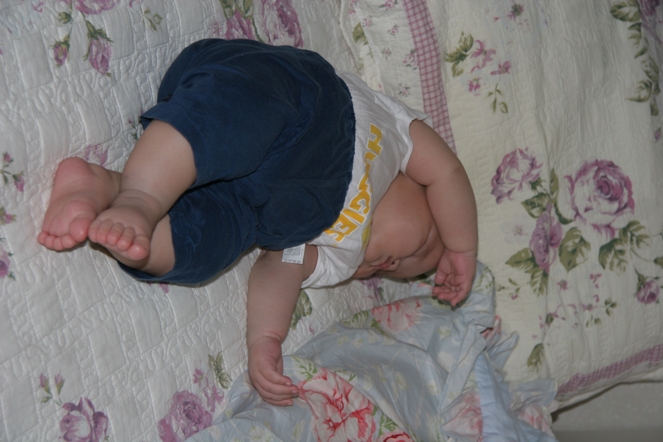 IMG_4266.JPG