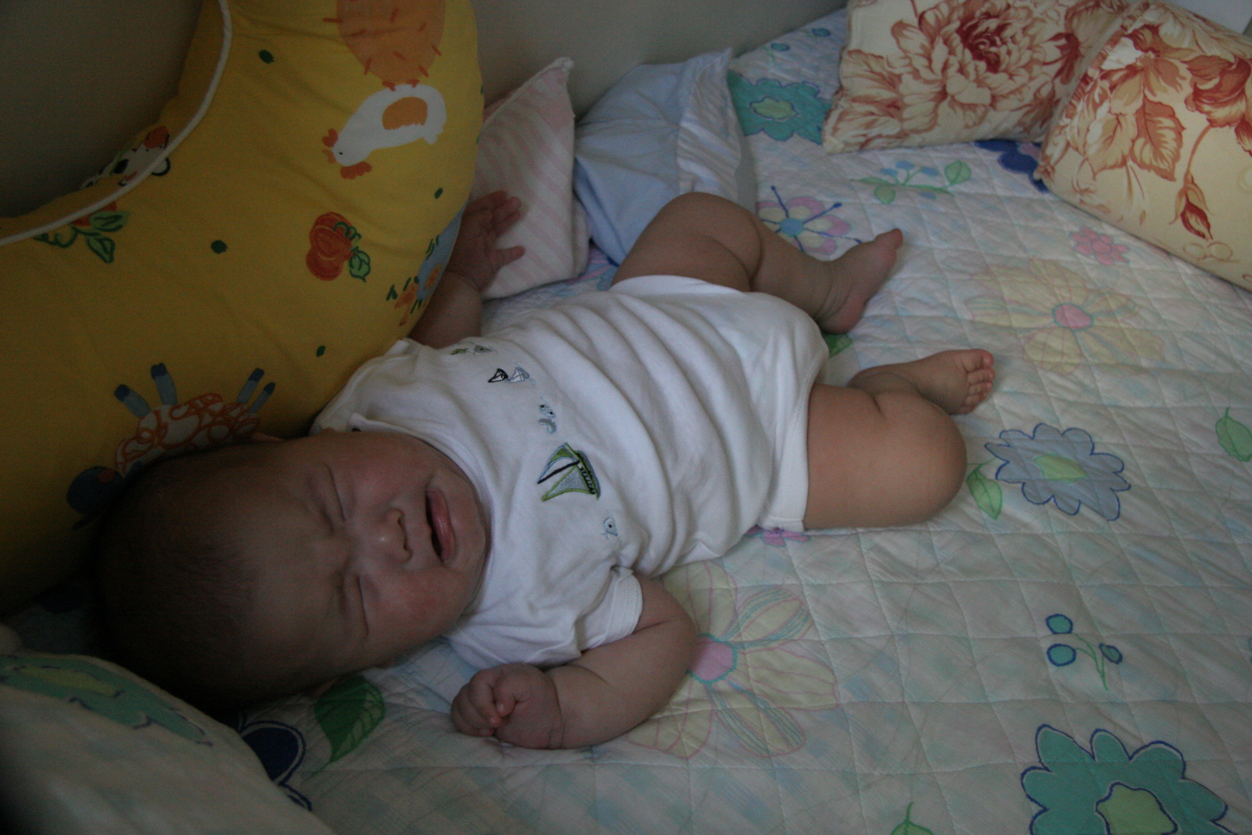 2007-06-18_14-41-40-0011.jpg
