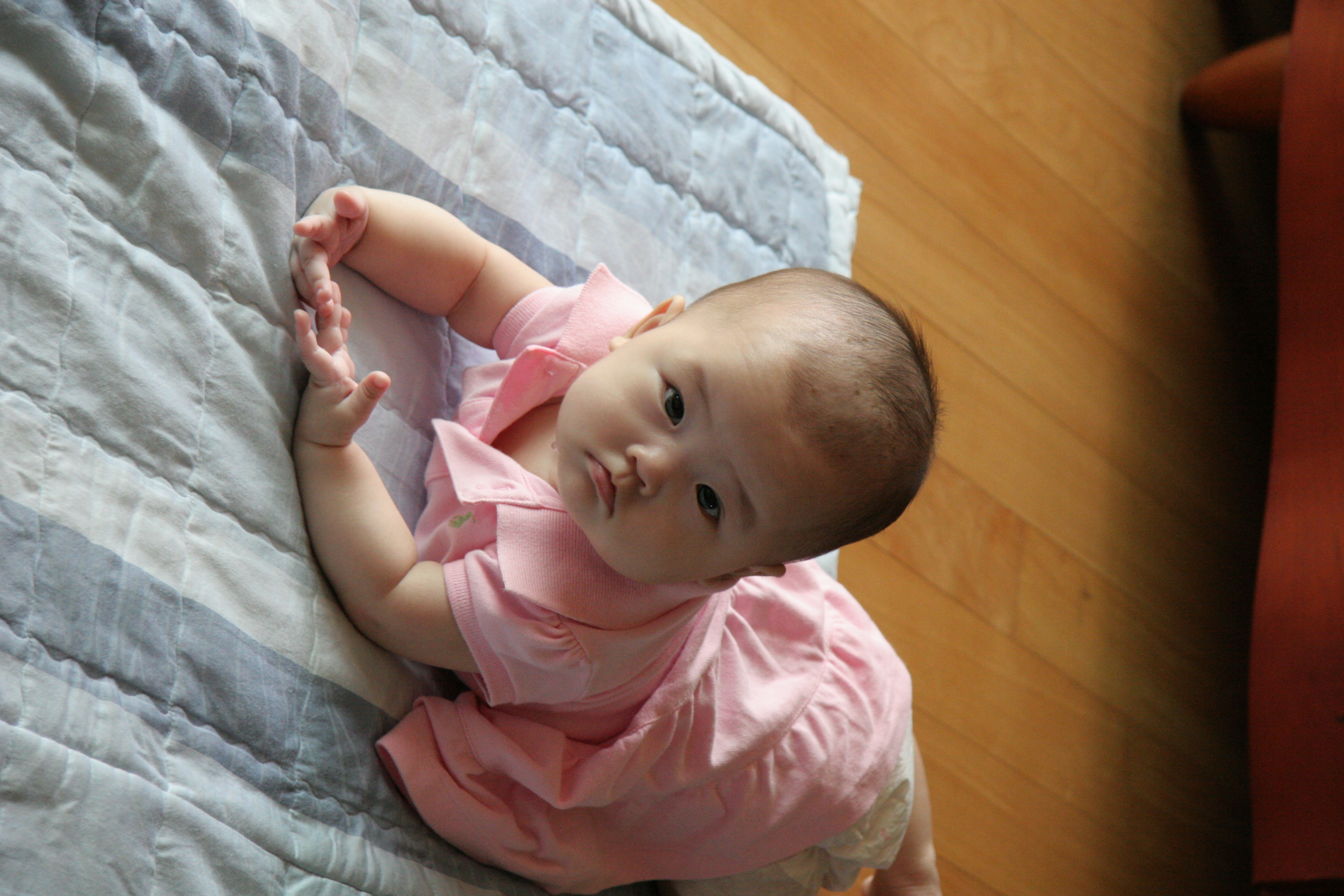 IMG_4436.JPG