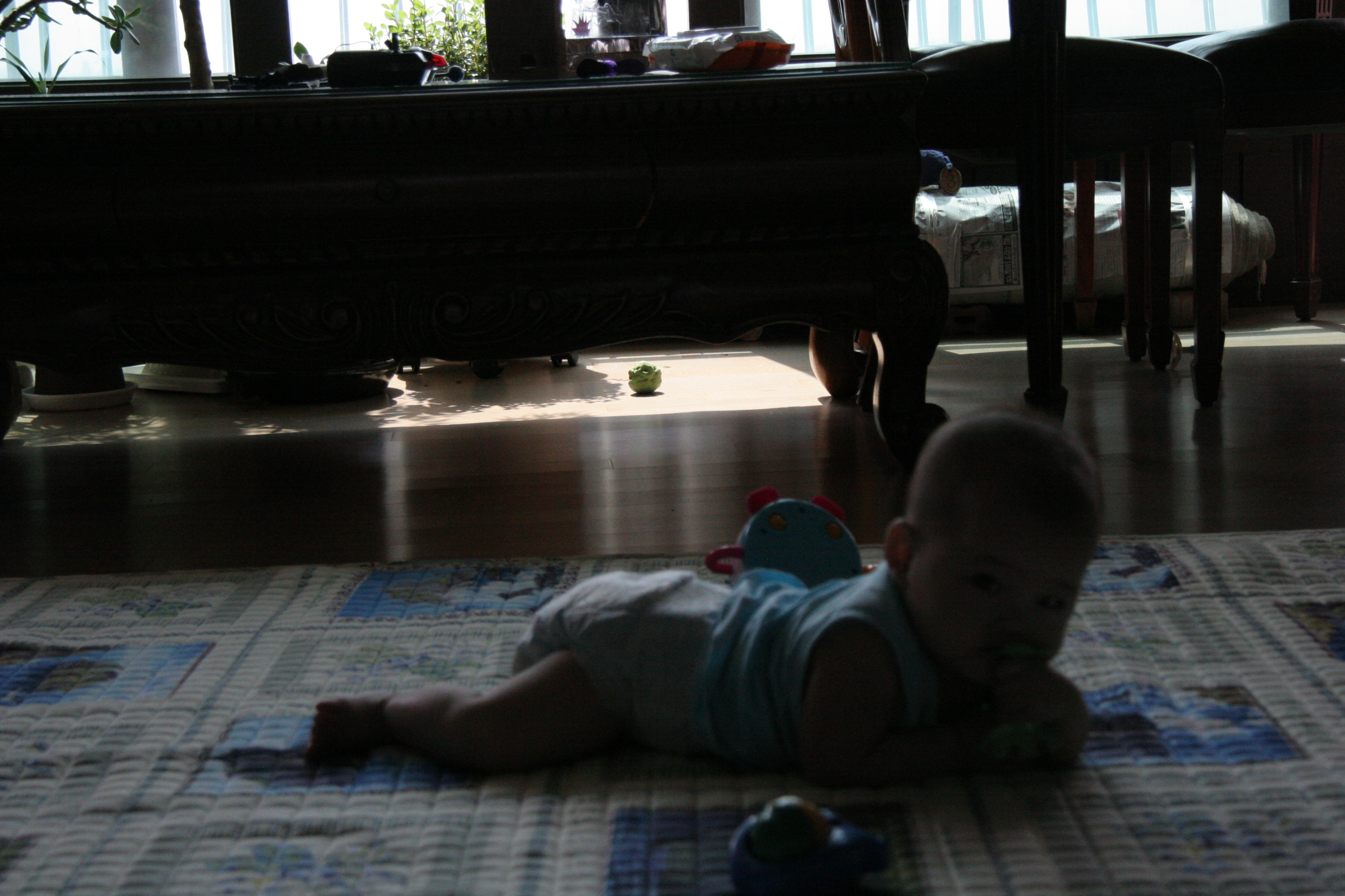 2007-08-22 오전 11-01-13_4629.JPG