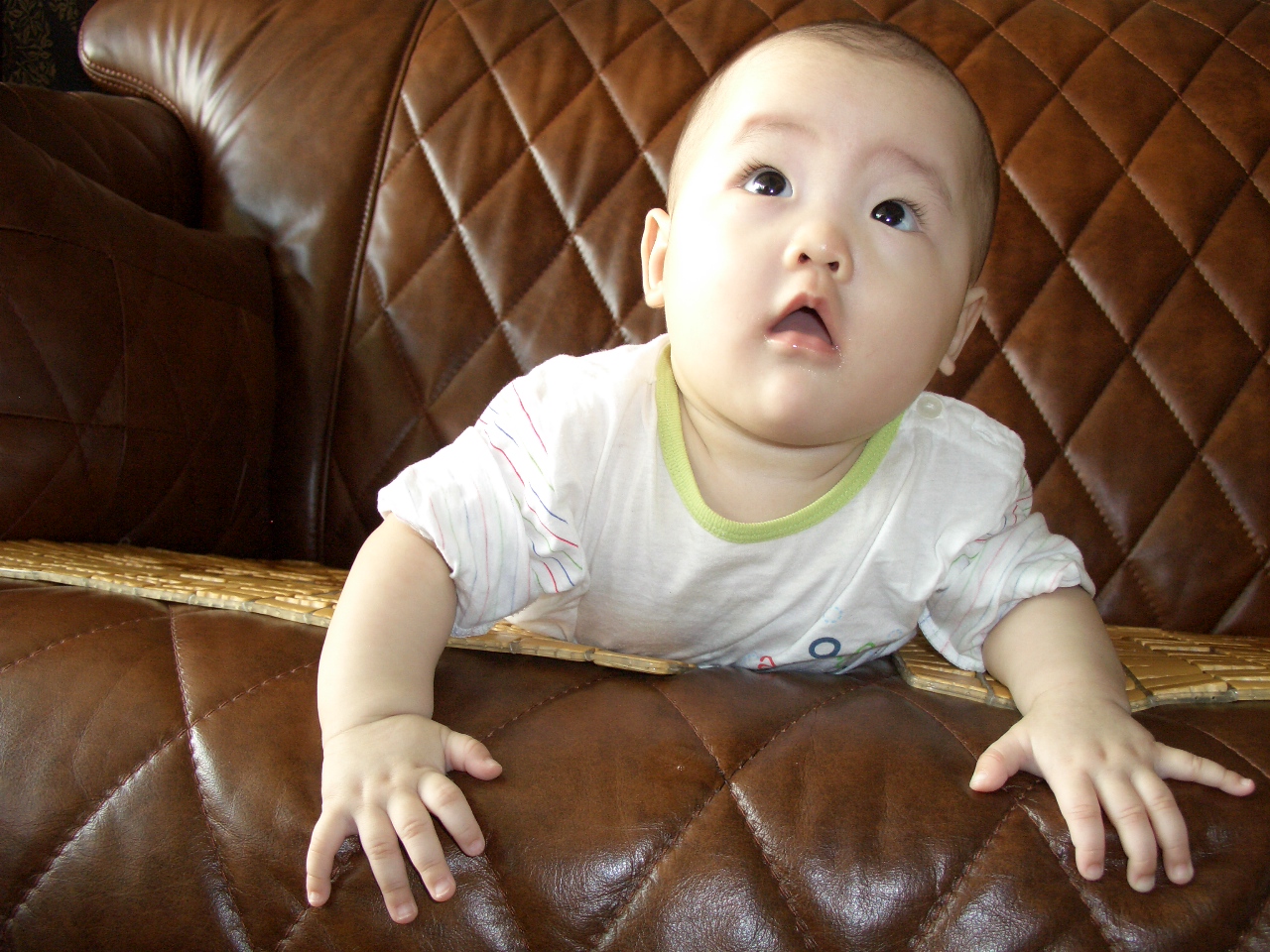 2007-09-20 오후 12-12-45.JPG