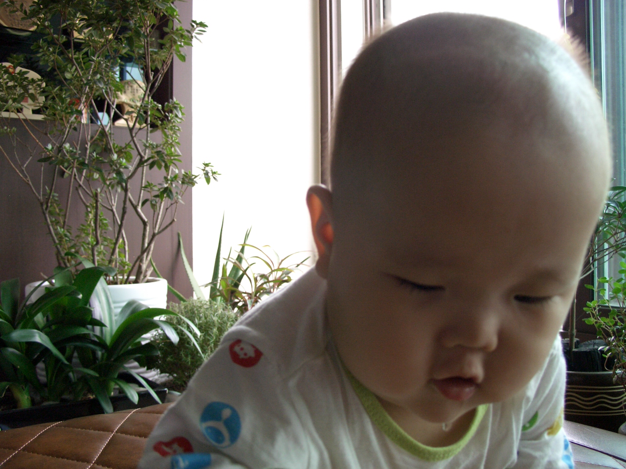 2007-09-20 오후 12-50-00.JPG