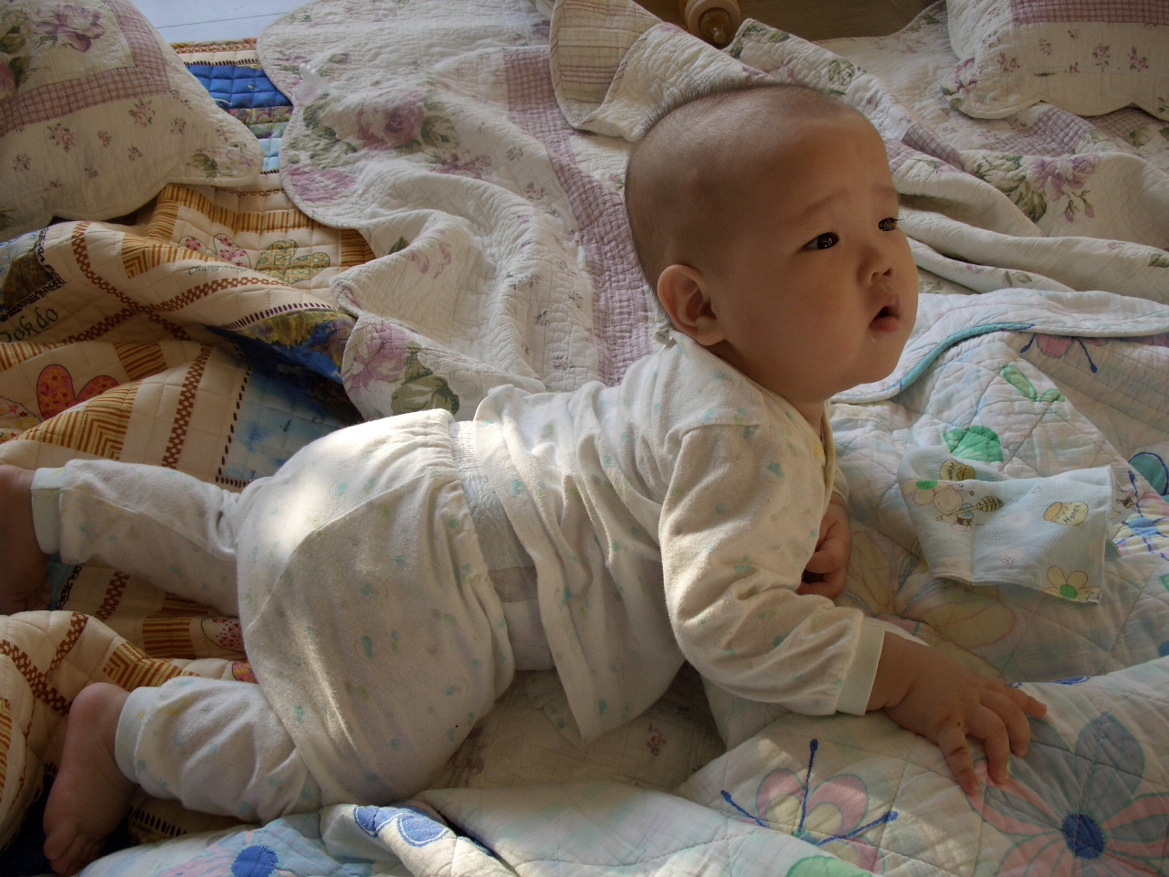 2007-10-15 오전 7-43-27.JPG