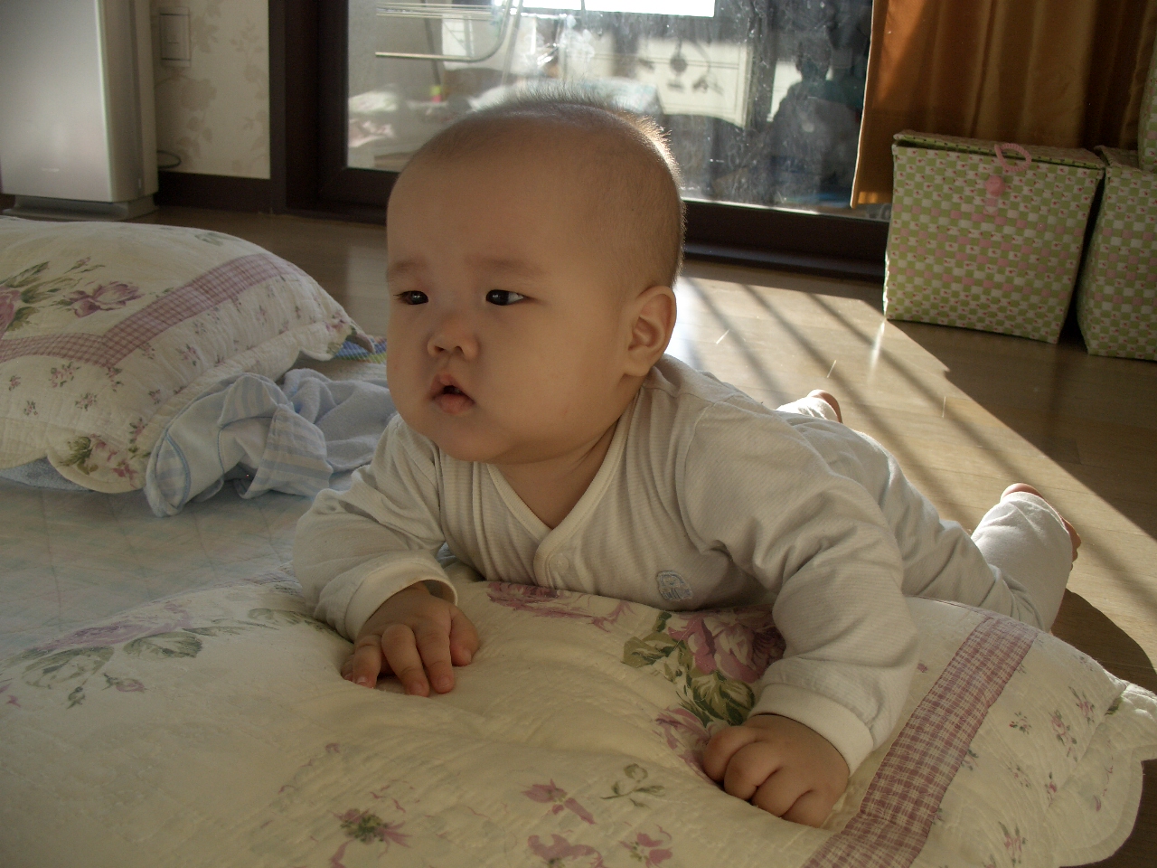 2007-10-17 오전 8-26-12.JPG