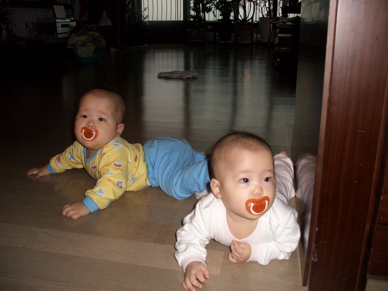 2007-10-19 오전 8-16-09.JPG