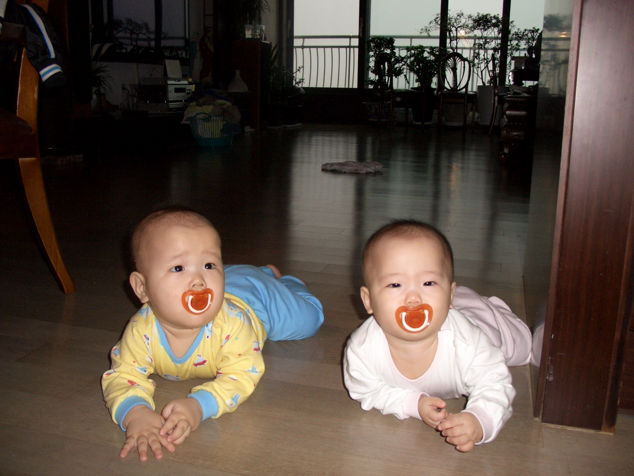 2007-10-19 오전 8-16-19.JPG