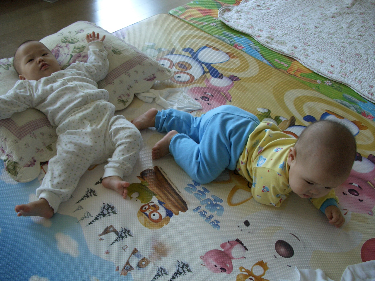 2007-10-20 오후 1-00-13.JPG
