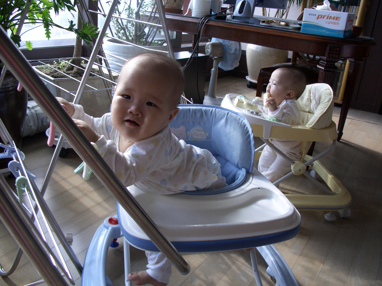2007-10-29 오전 10-56-12.JPG