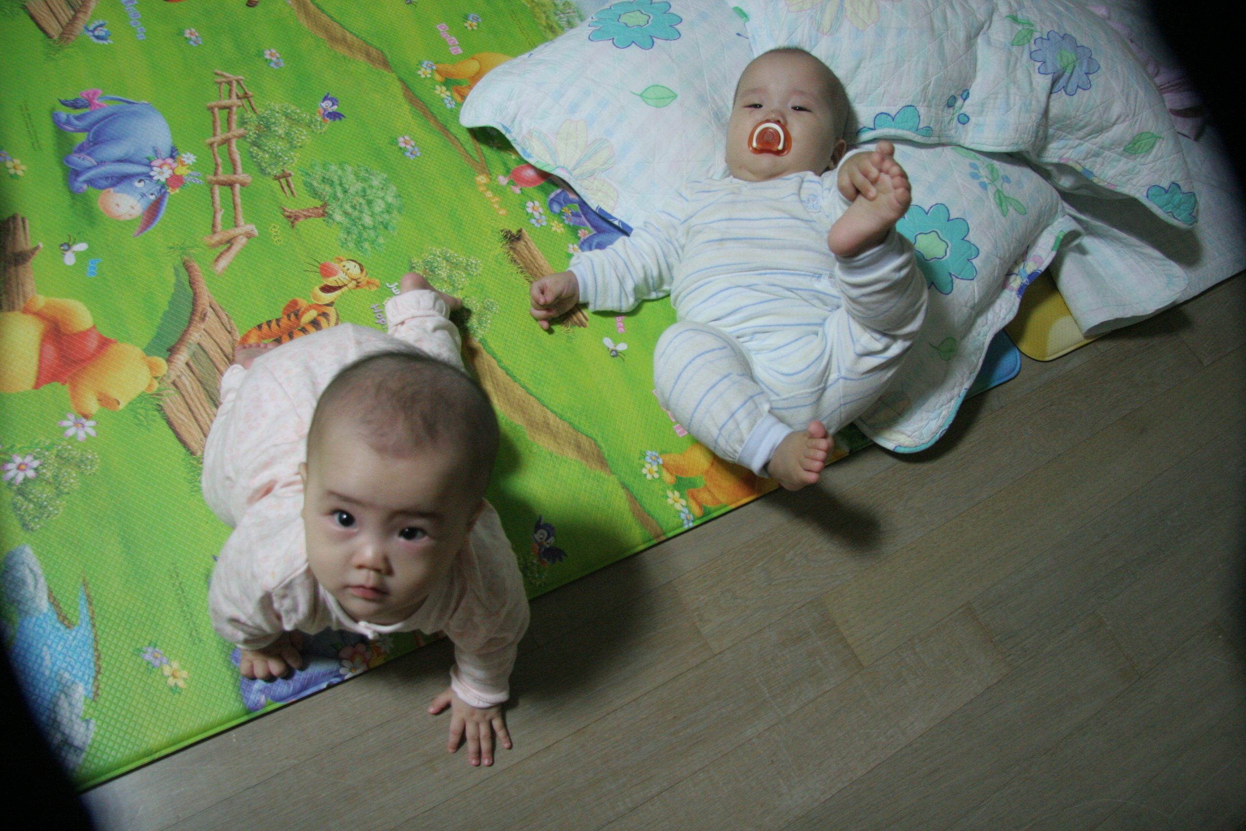 2007-10-30 오후 9-54-56IMG_6141.JPG