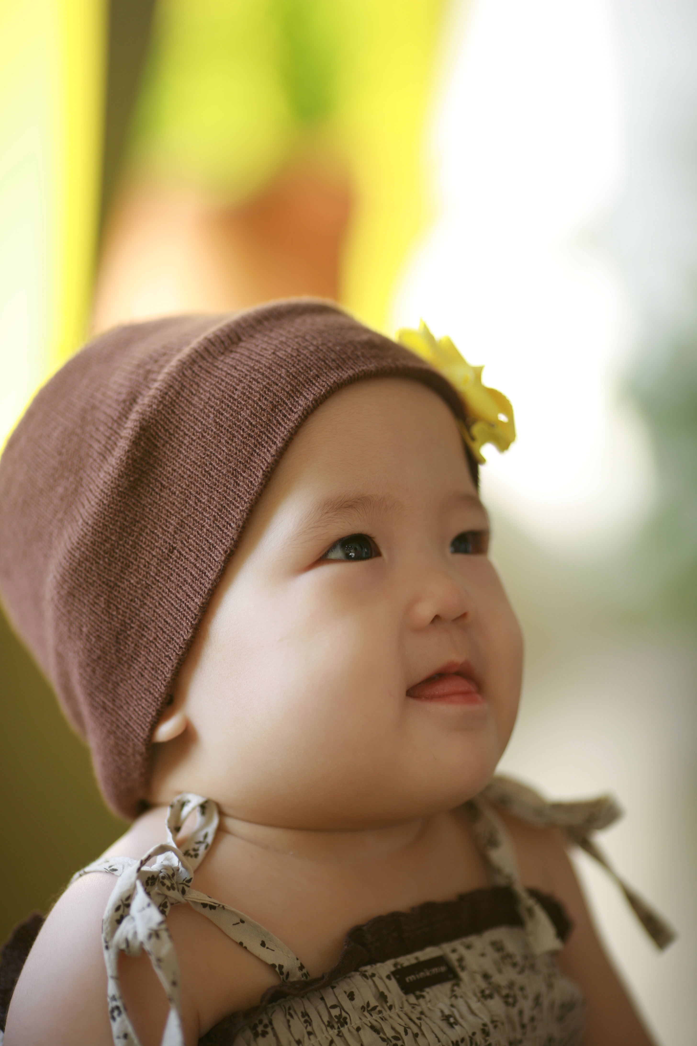 올리브 (10).JPG