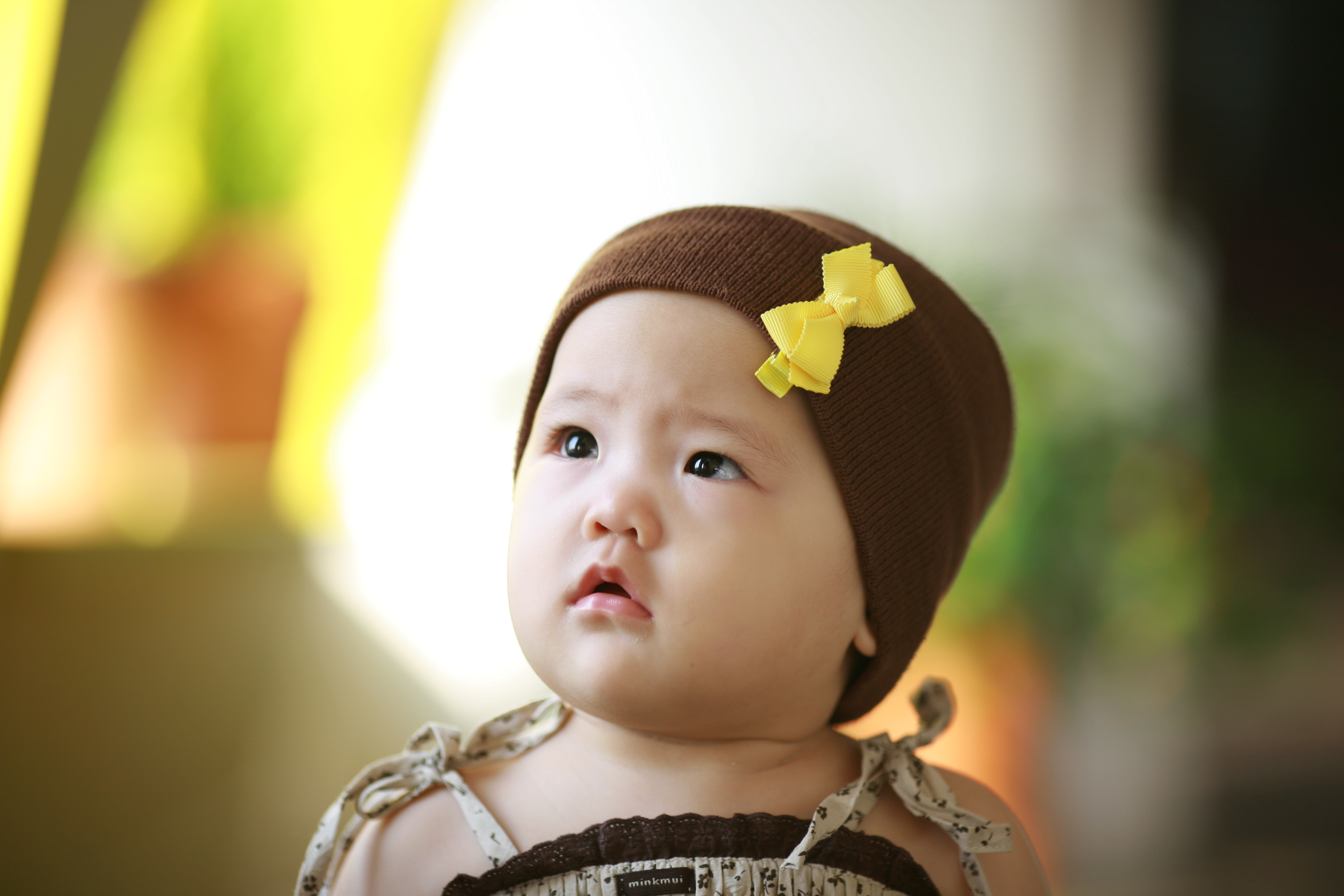 올리브 (4).JPG