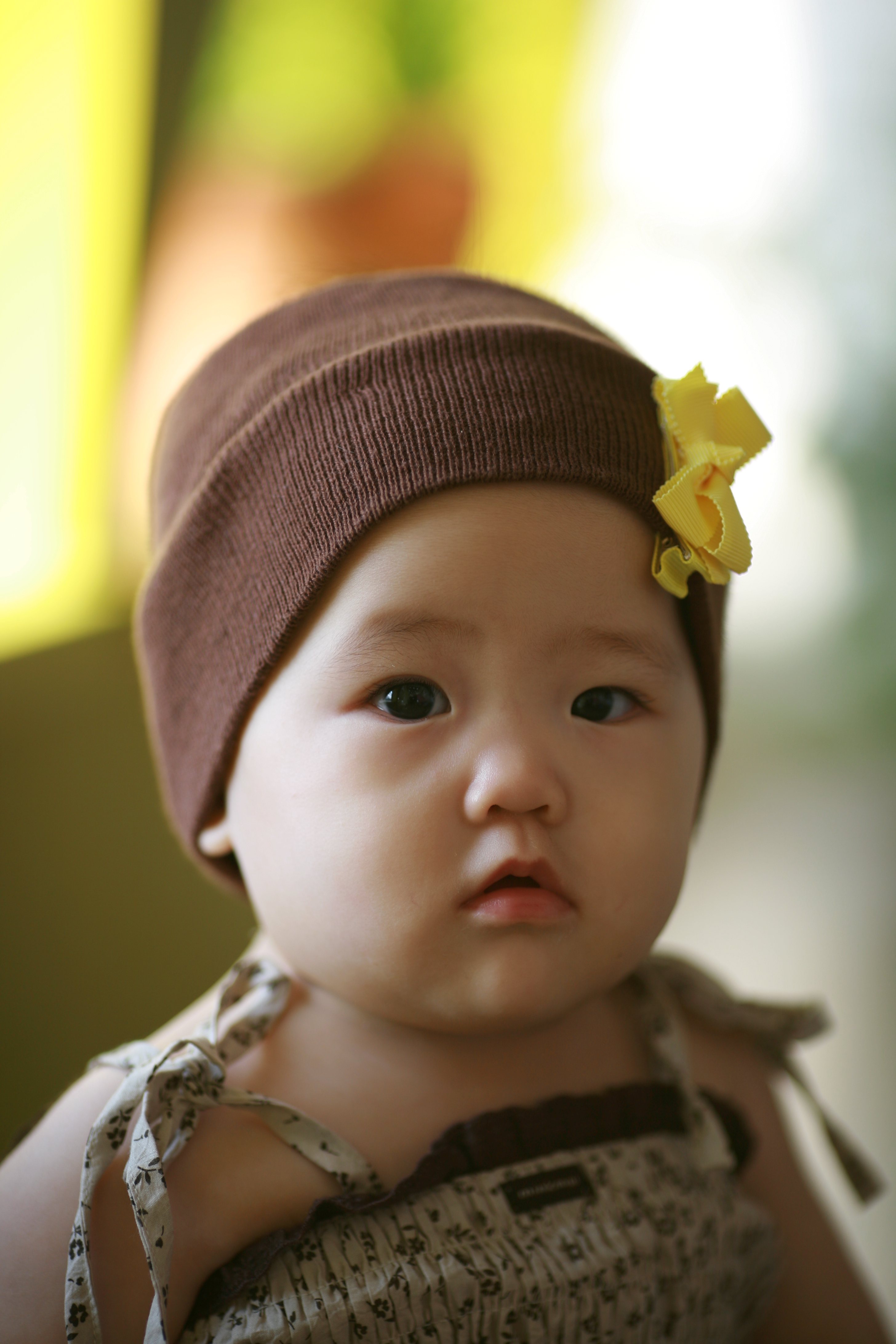 올리브 (9).JPG