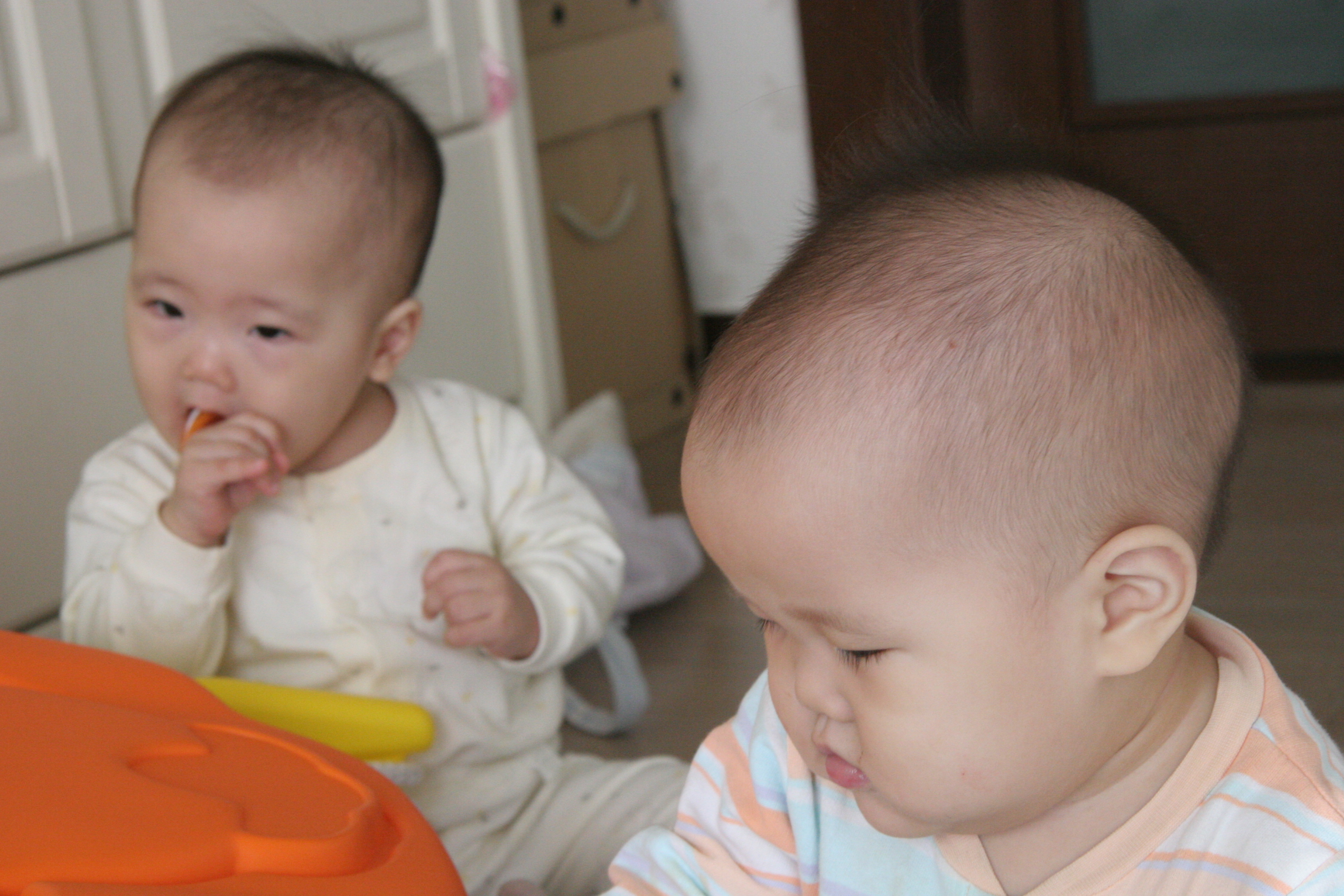 2007-12-26 오전 10-58-13_167.JPG