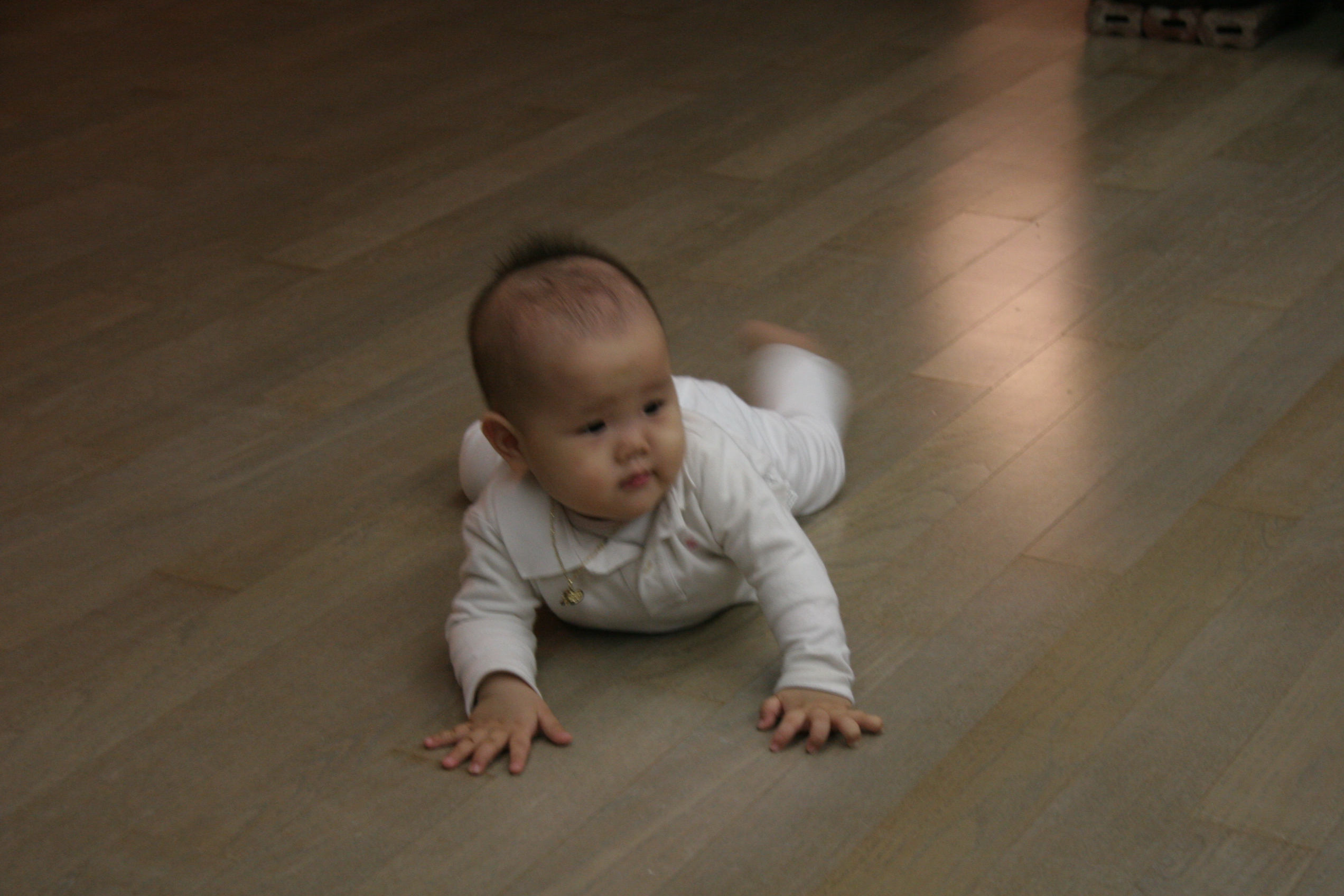 2007-12-31-00002.JPG