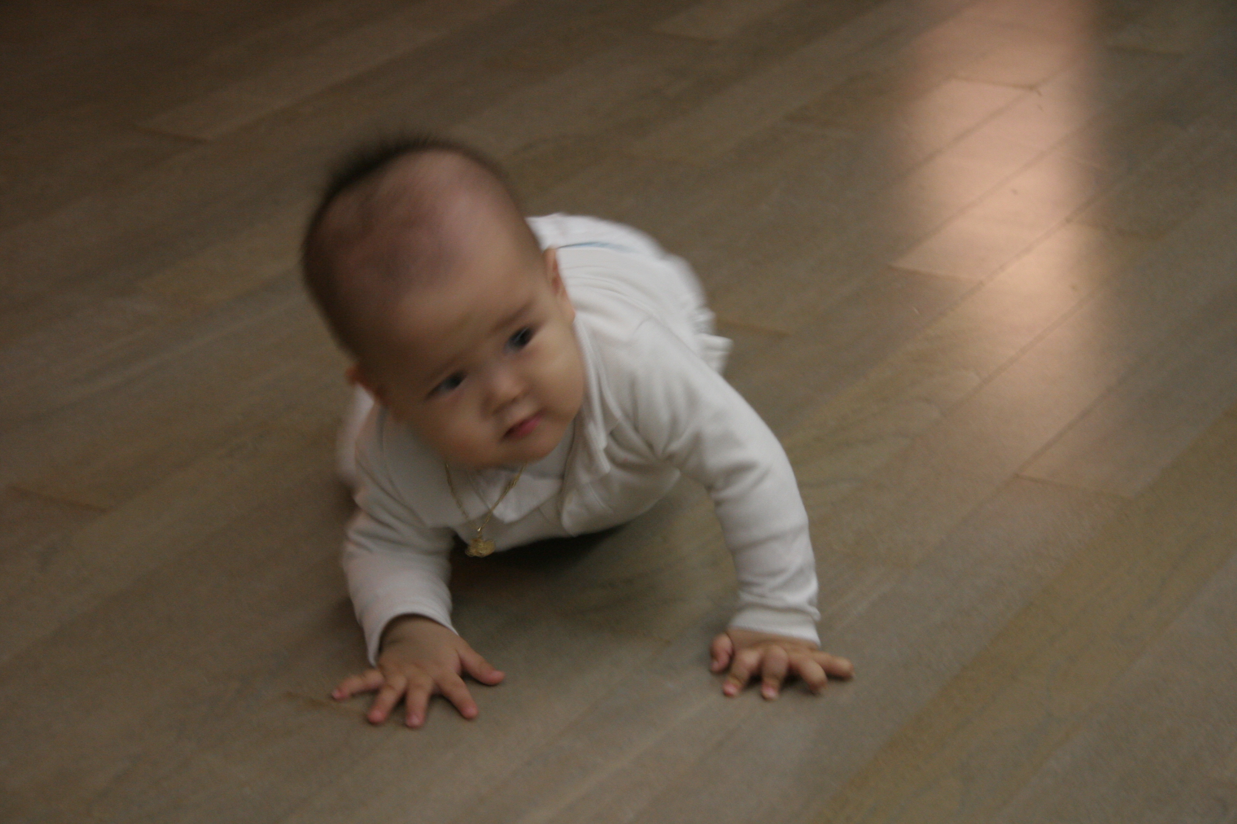2007-12-31-00003.JPG