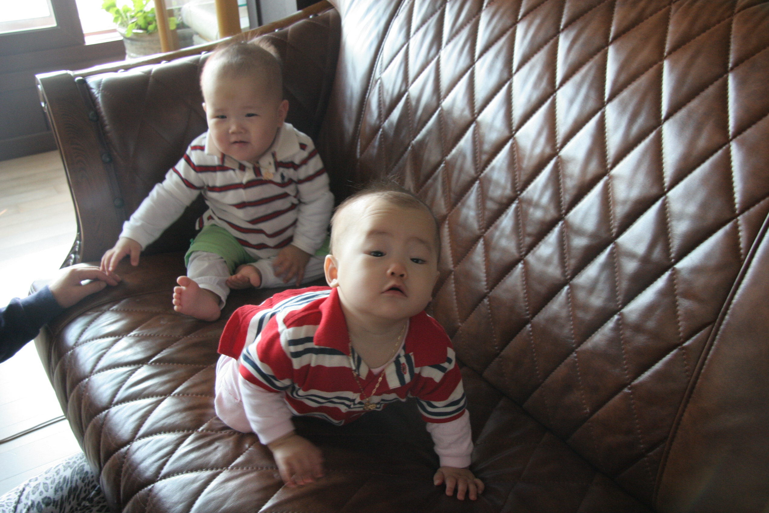 2008-01-03-000004.JPG
