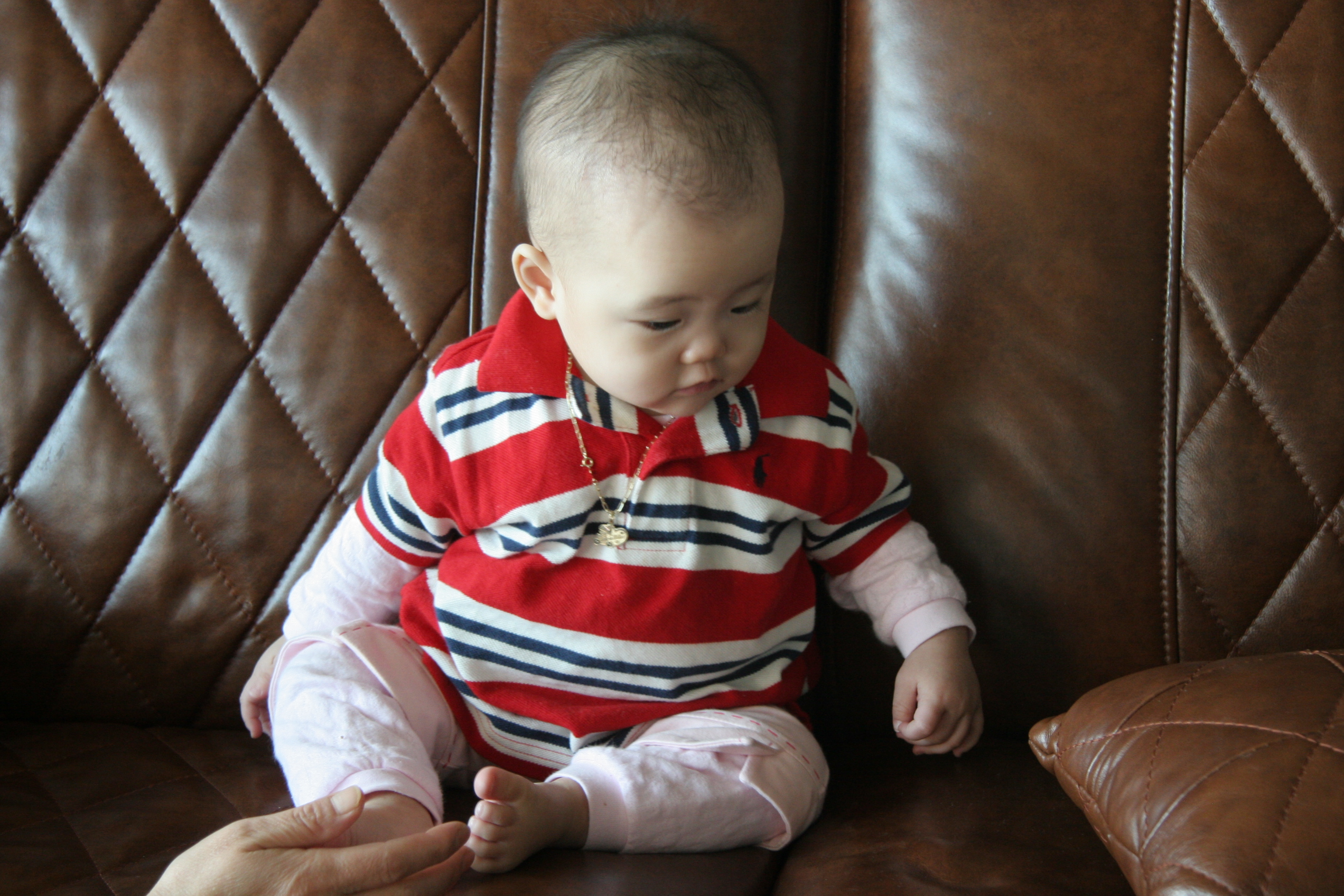 2008-01-03-000005.JPG