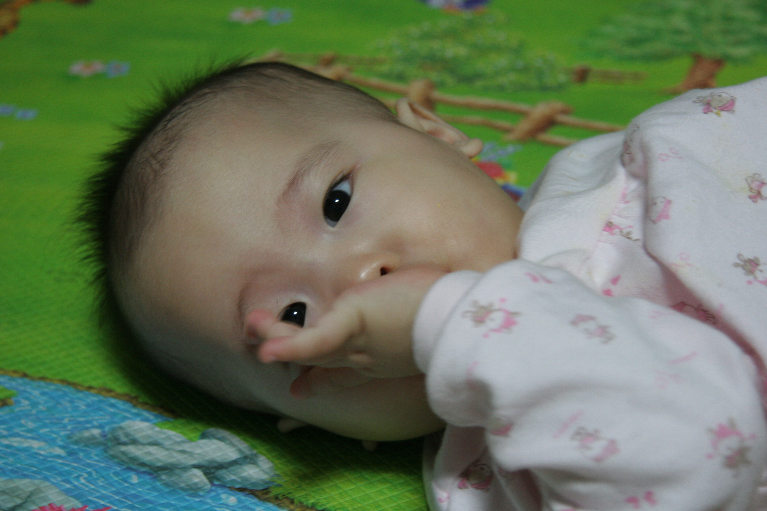 IMG_7281.JPG