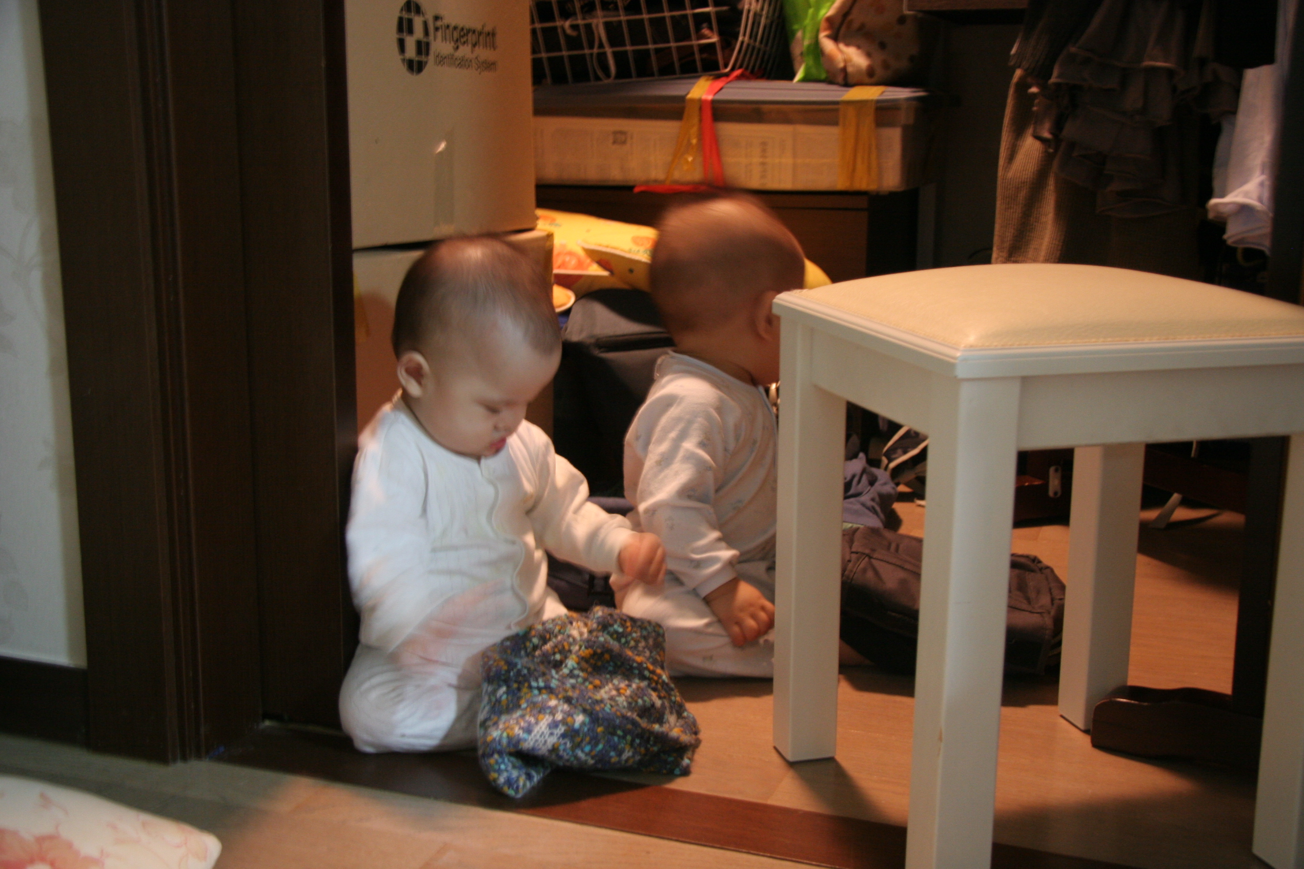 IMG_7339.JPG