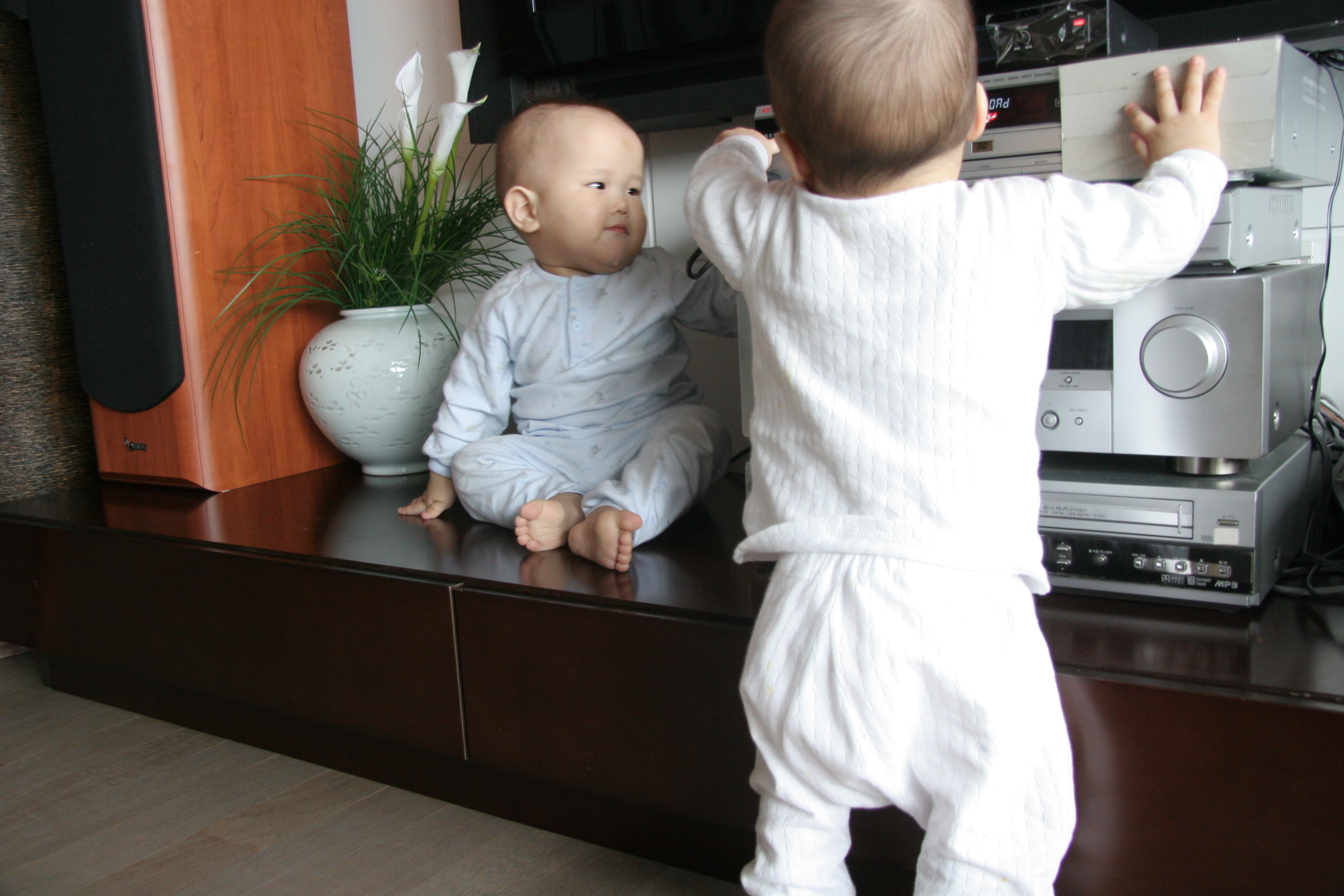 IMG_7391.JPG