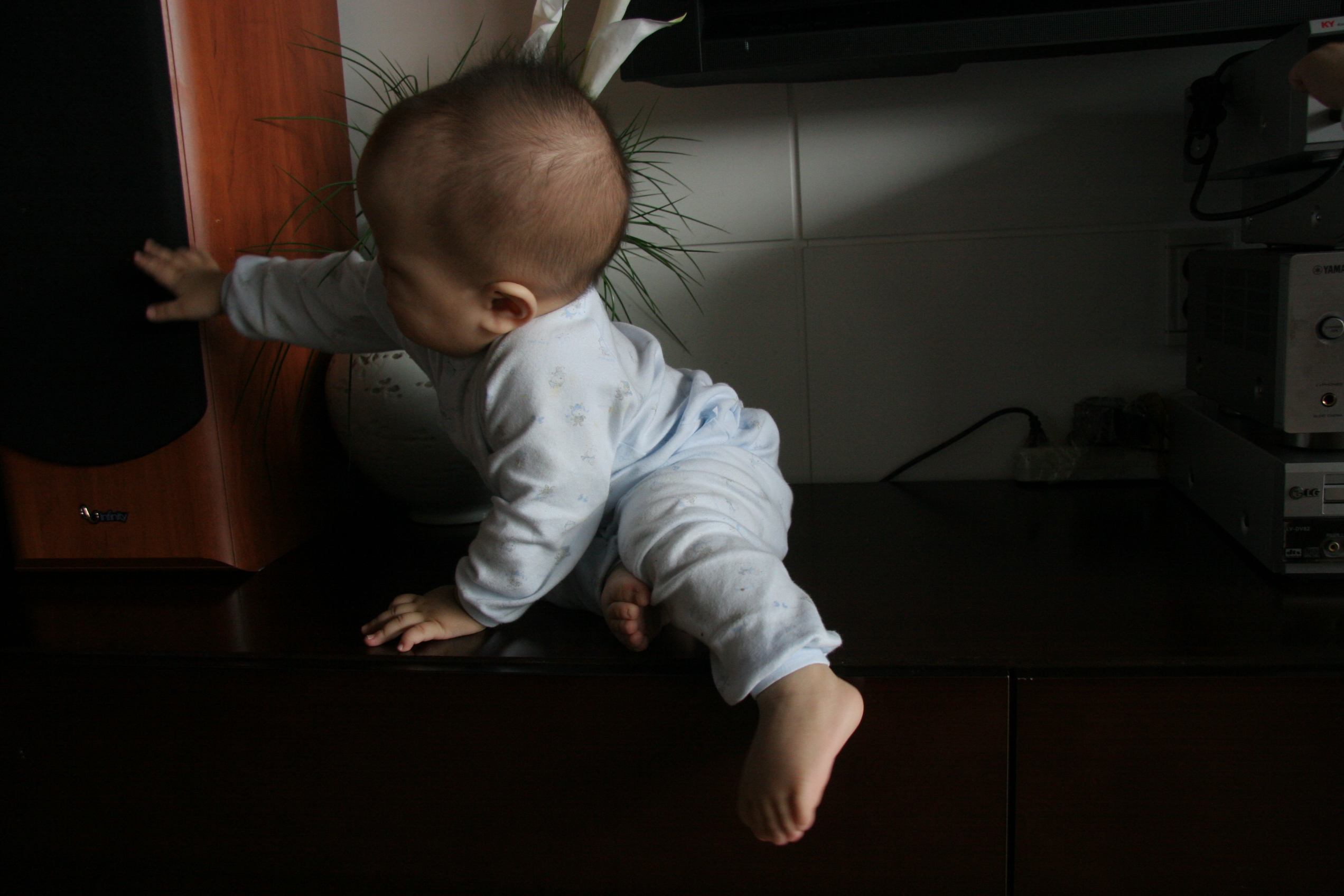 IMG_7393.JPG