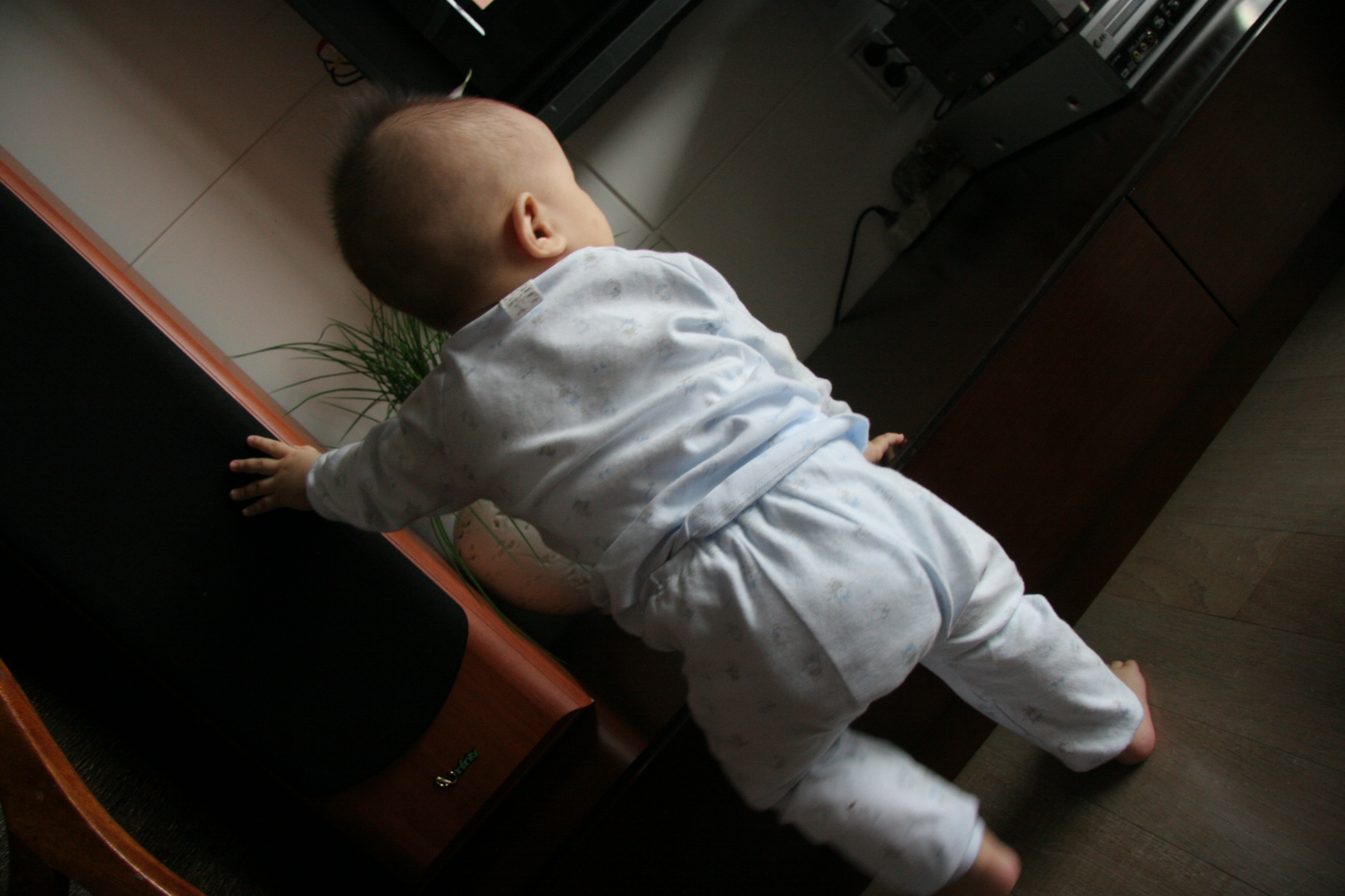 IMG_7396.JPG