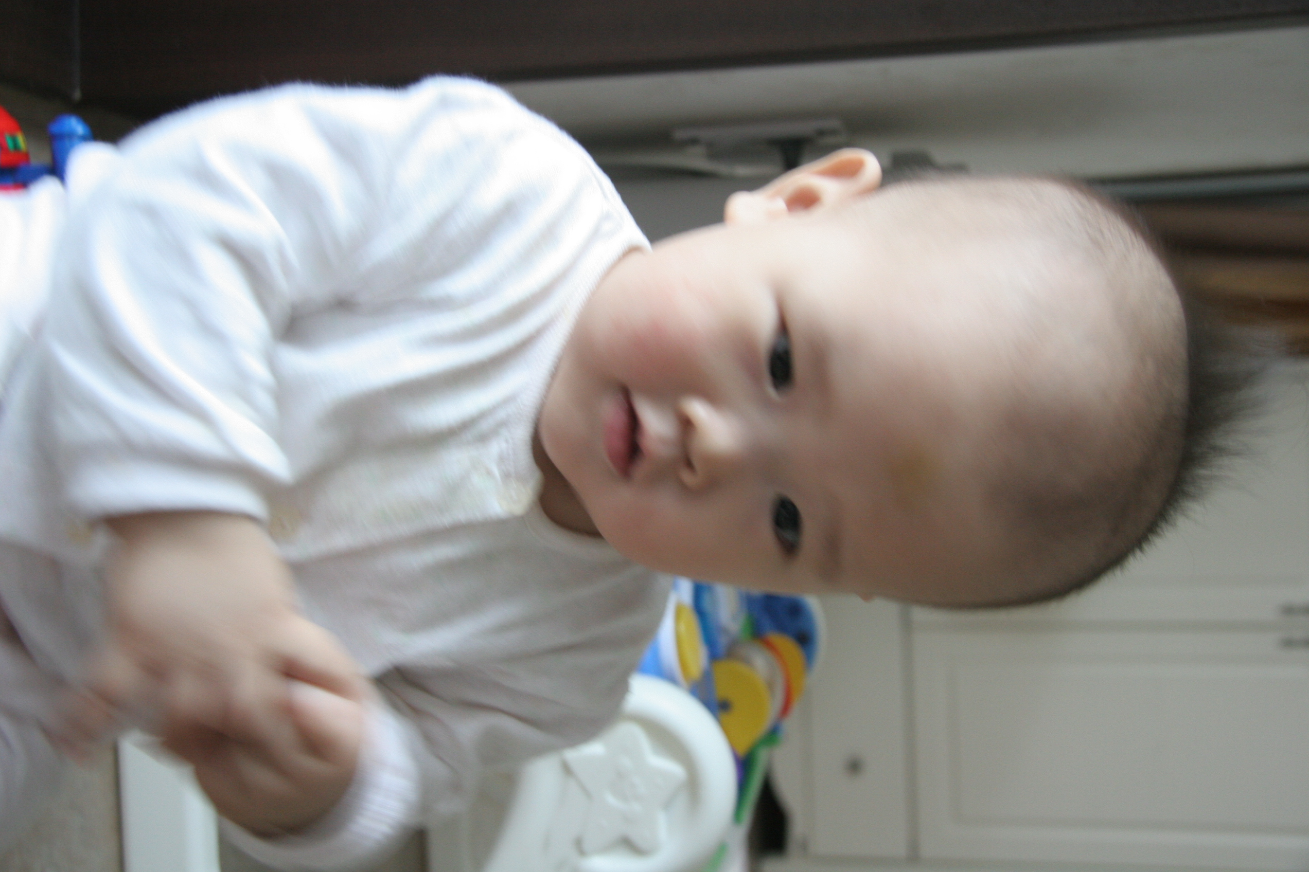 IMG_7493.JPG