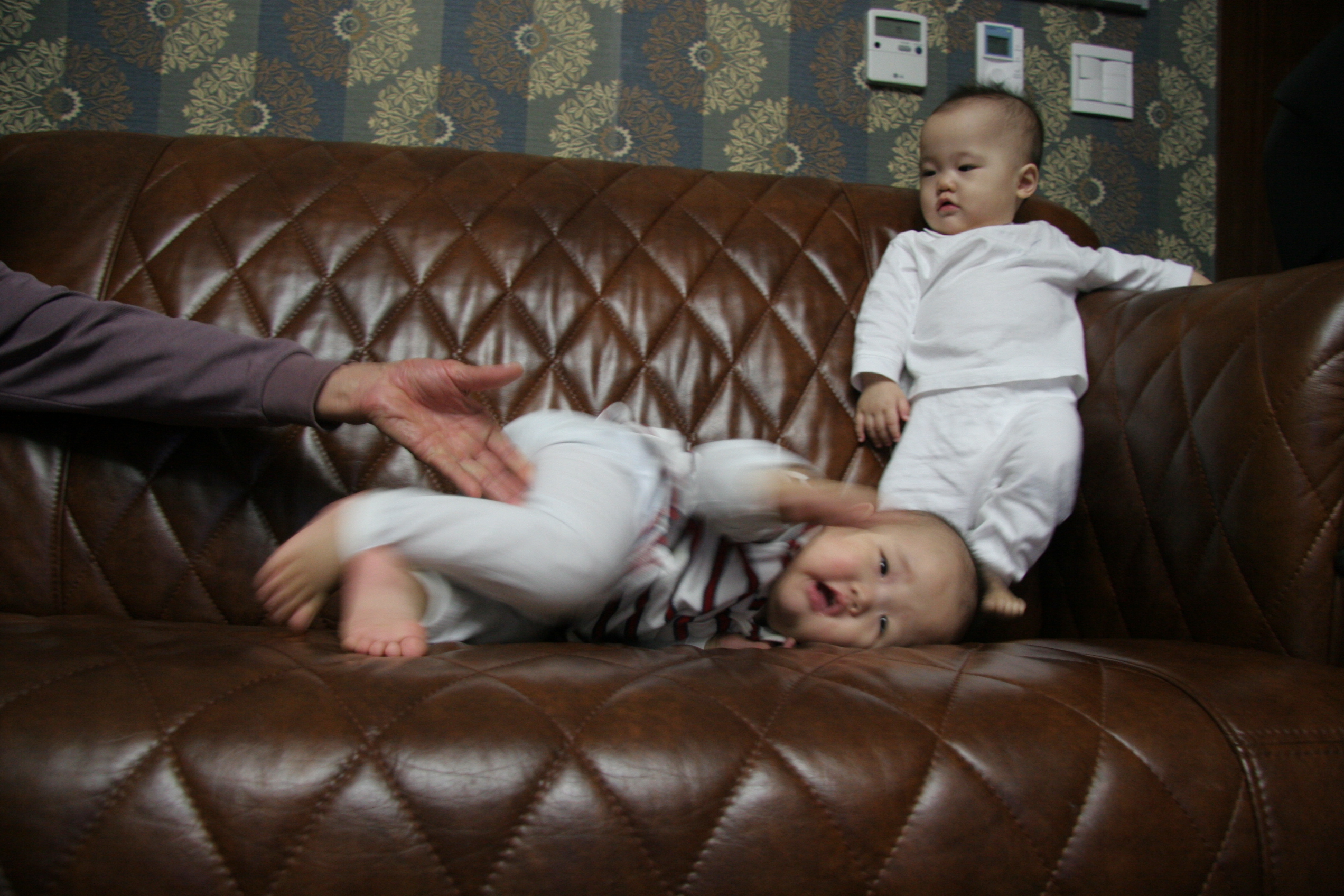 IMG_7541.JPG