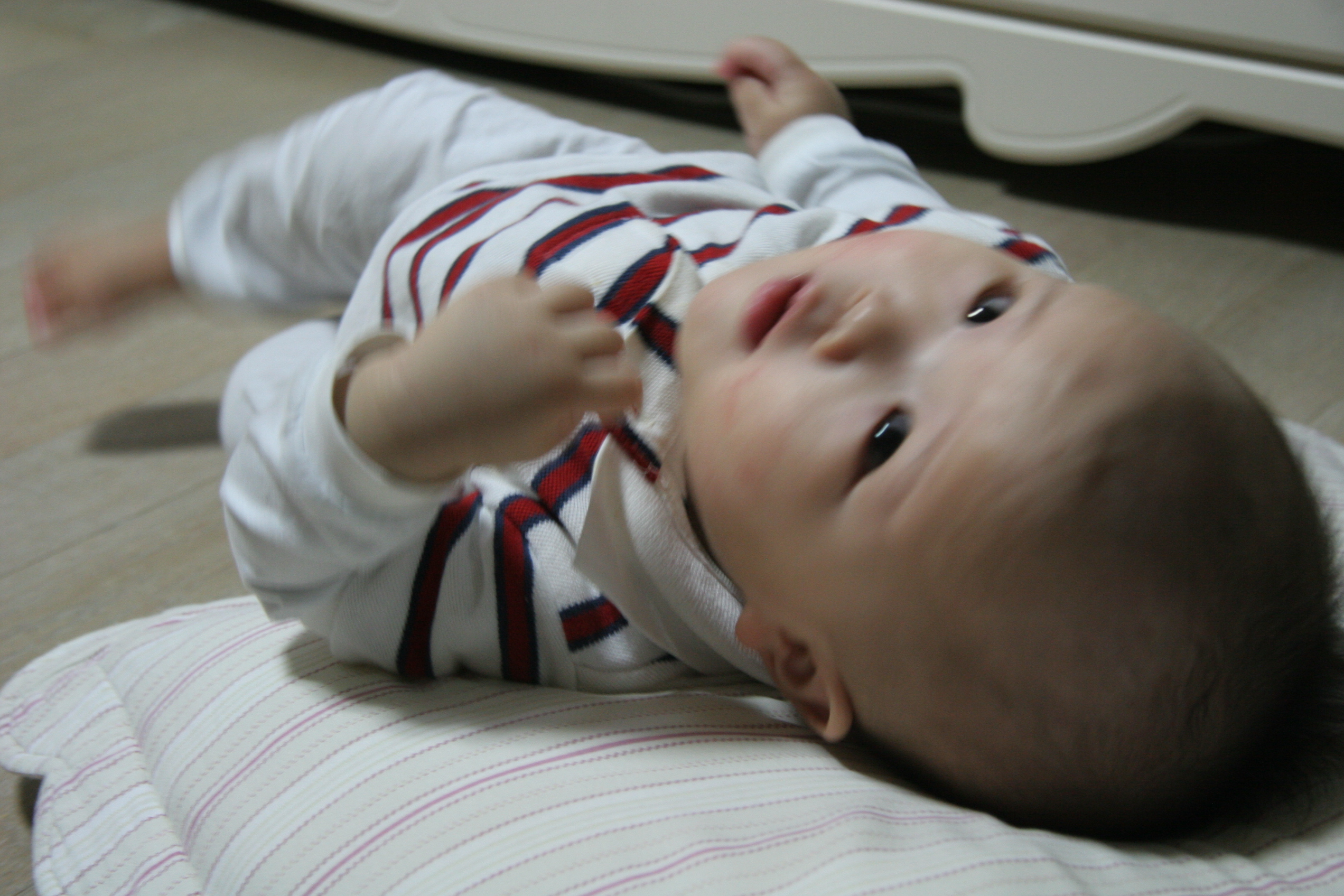 IMG_7565.JPG
