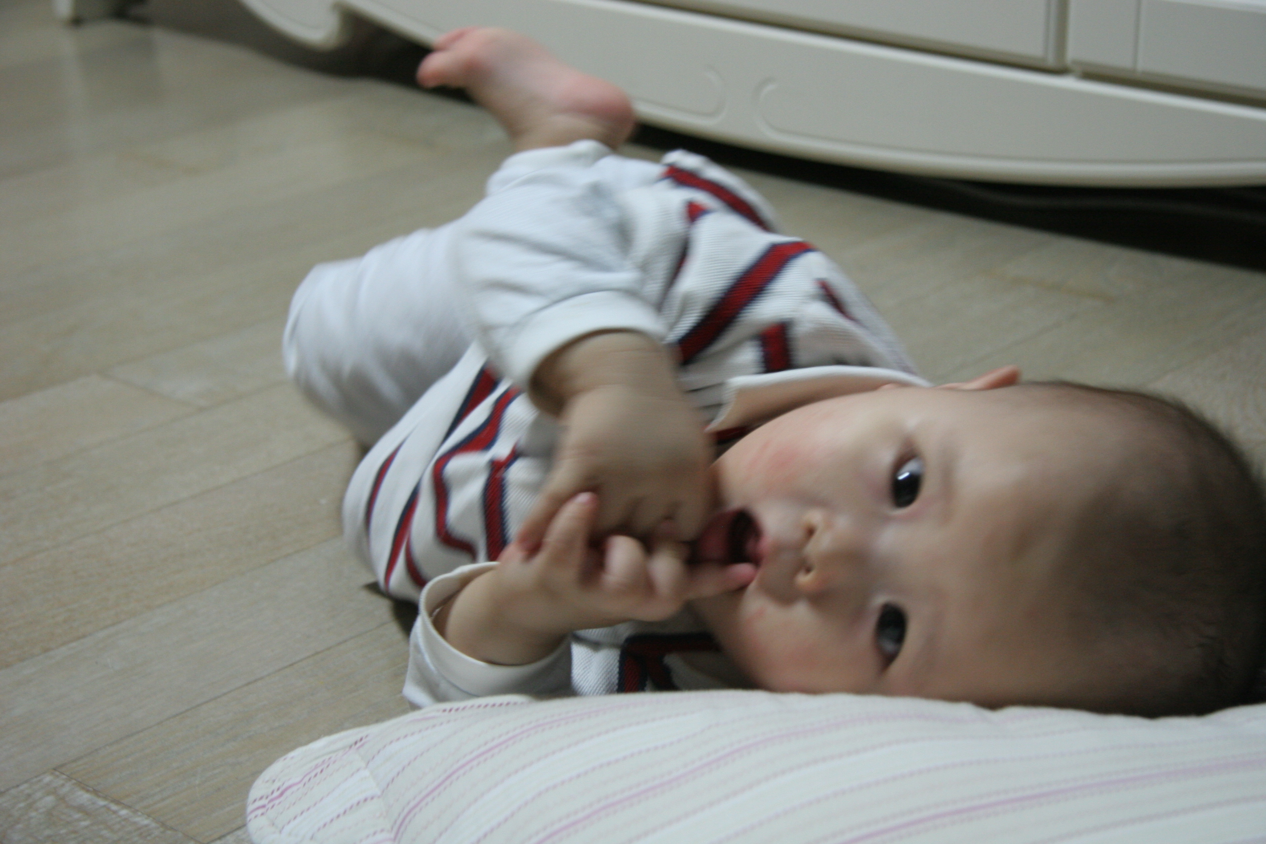 IMG_7566.JPG