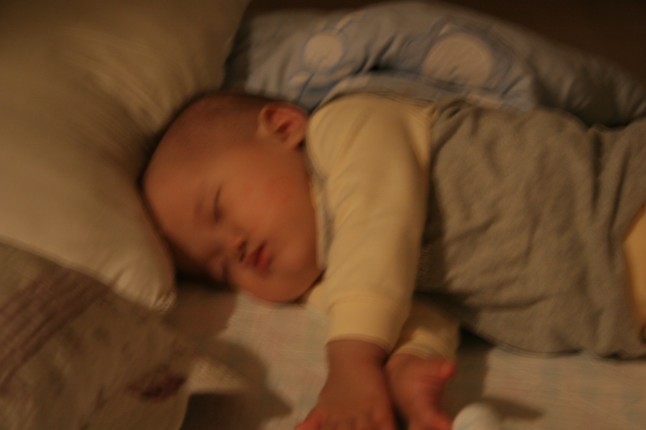 IMG_7623.JPG