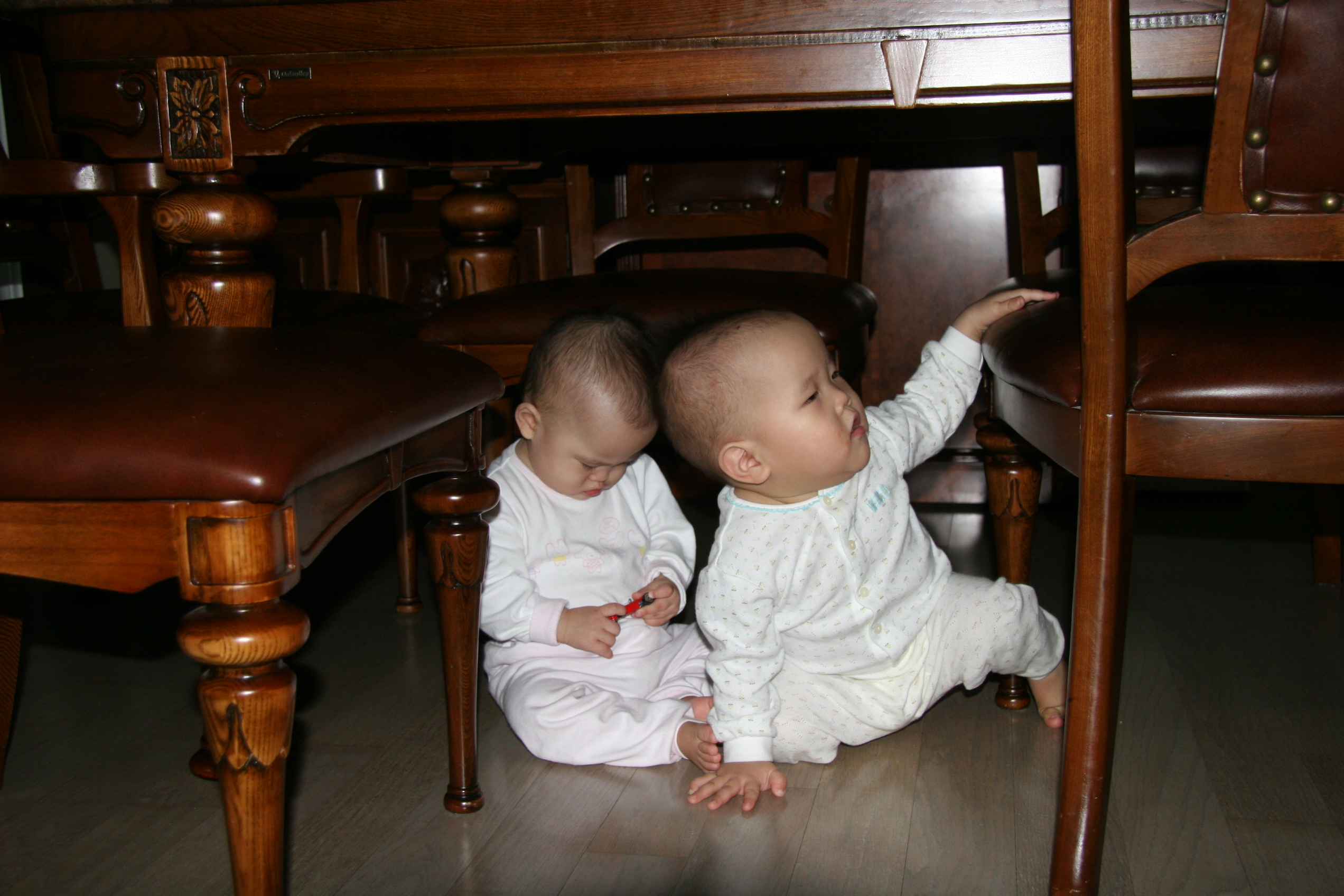 IMG_7741.JPG