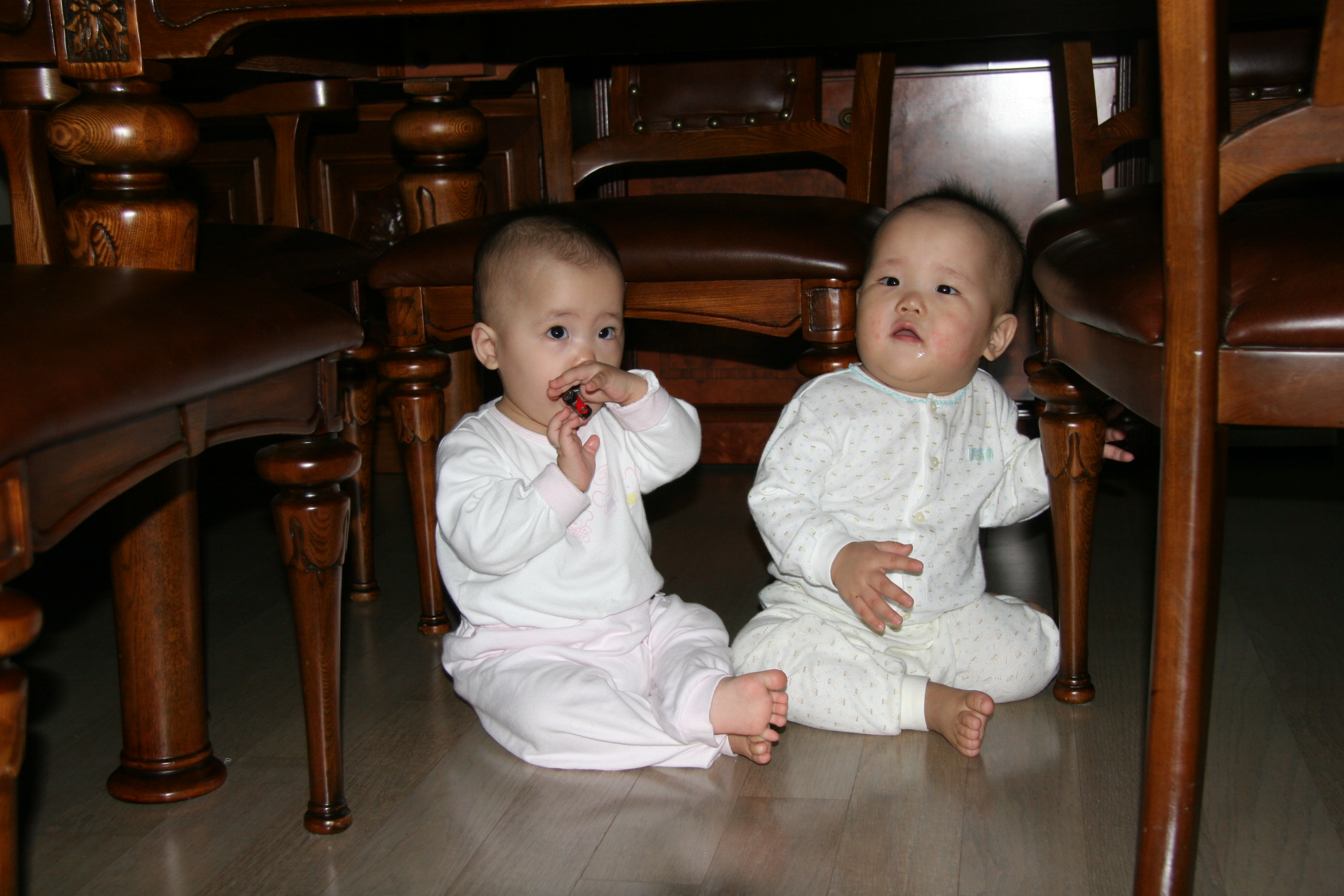 IMG_7742.JPG