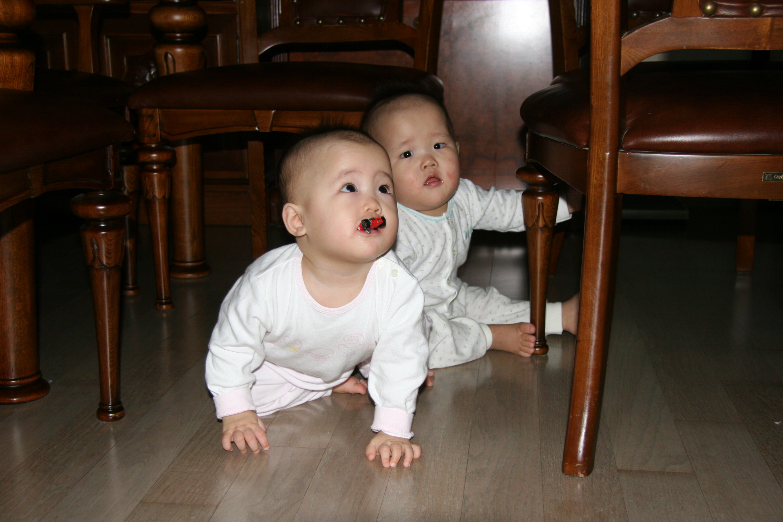IMG_7744.JPG