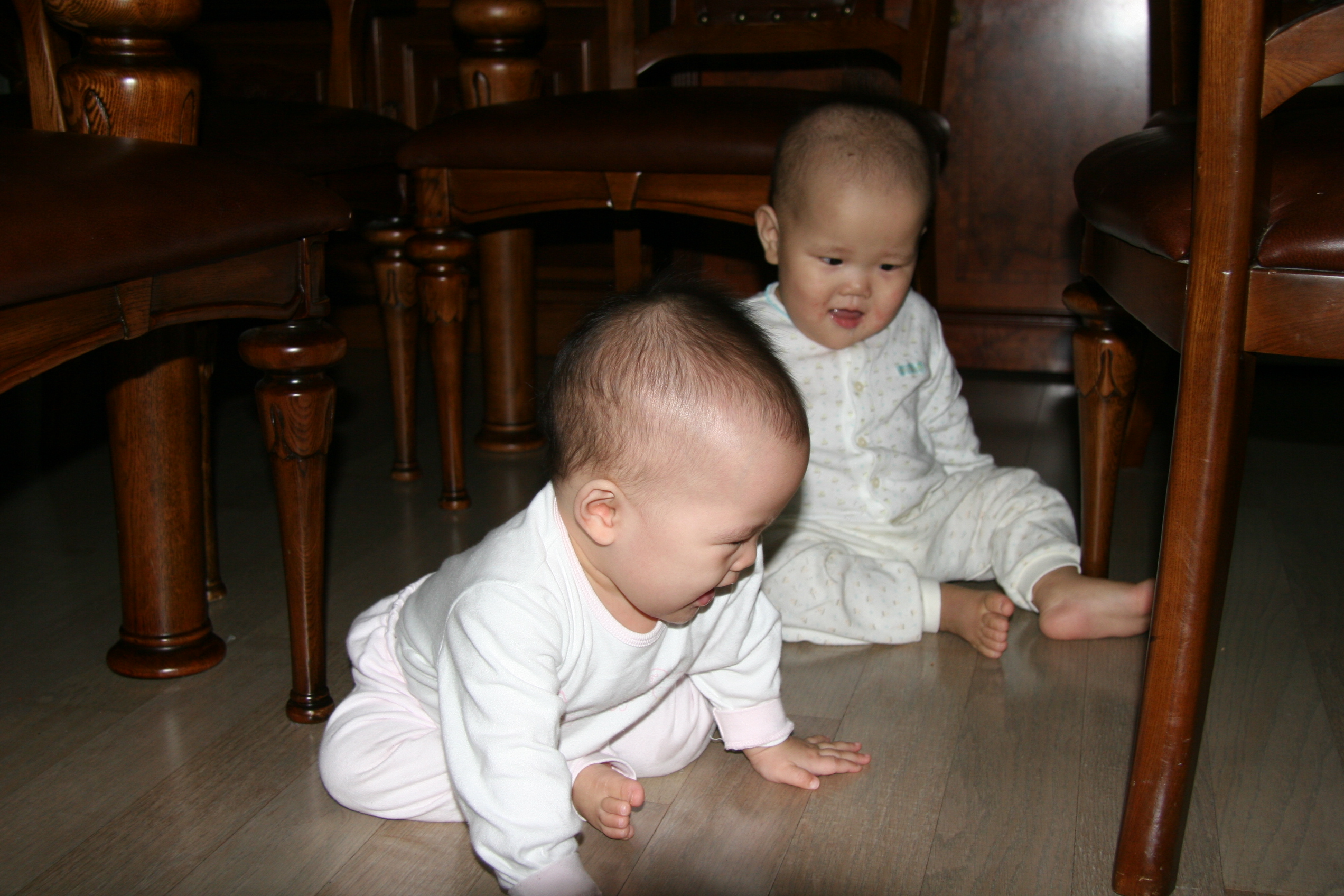 IMG_7745.JPG