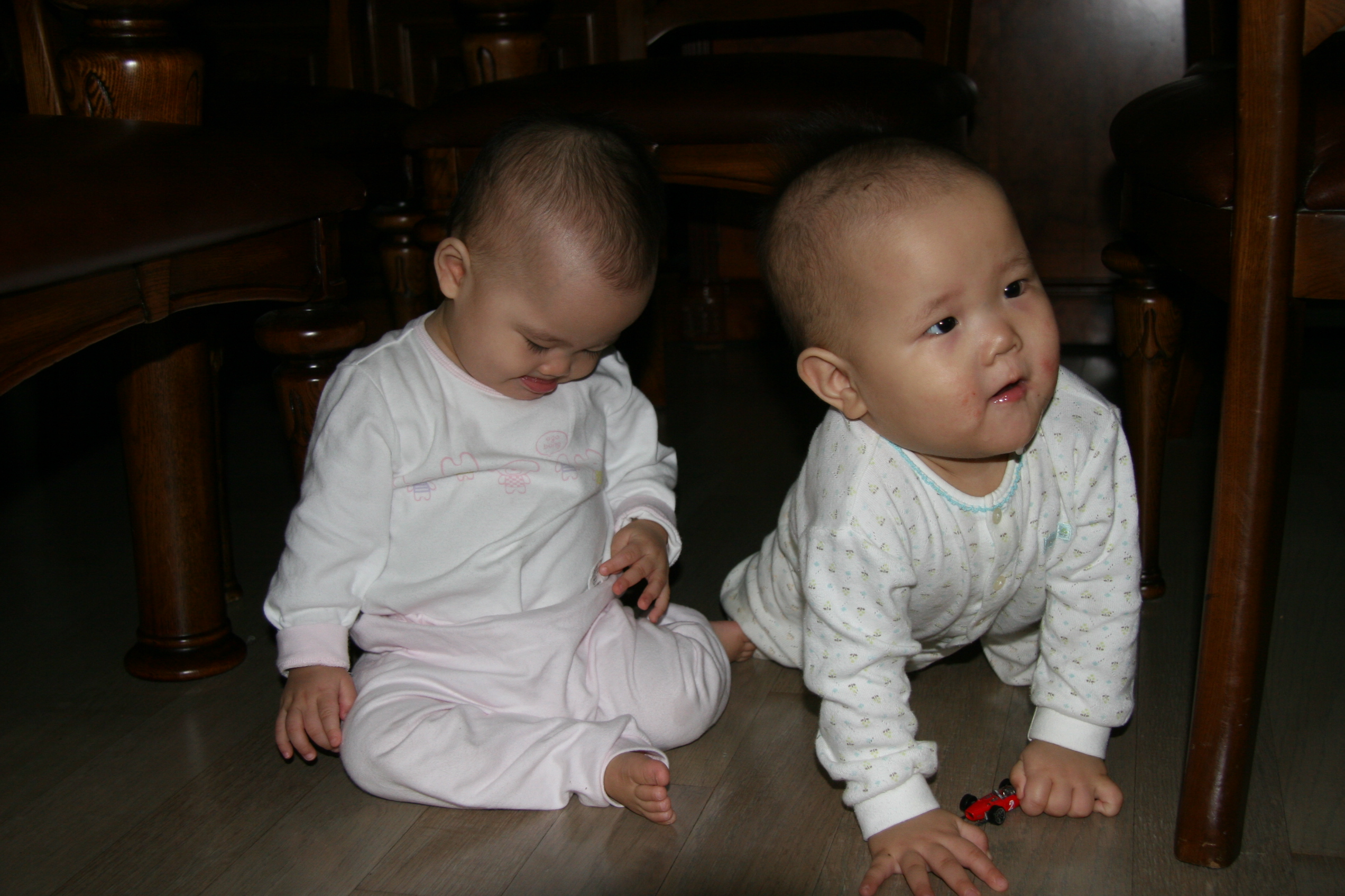 IMG_7746.JPG