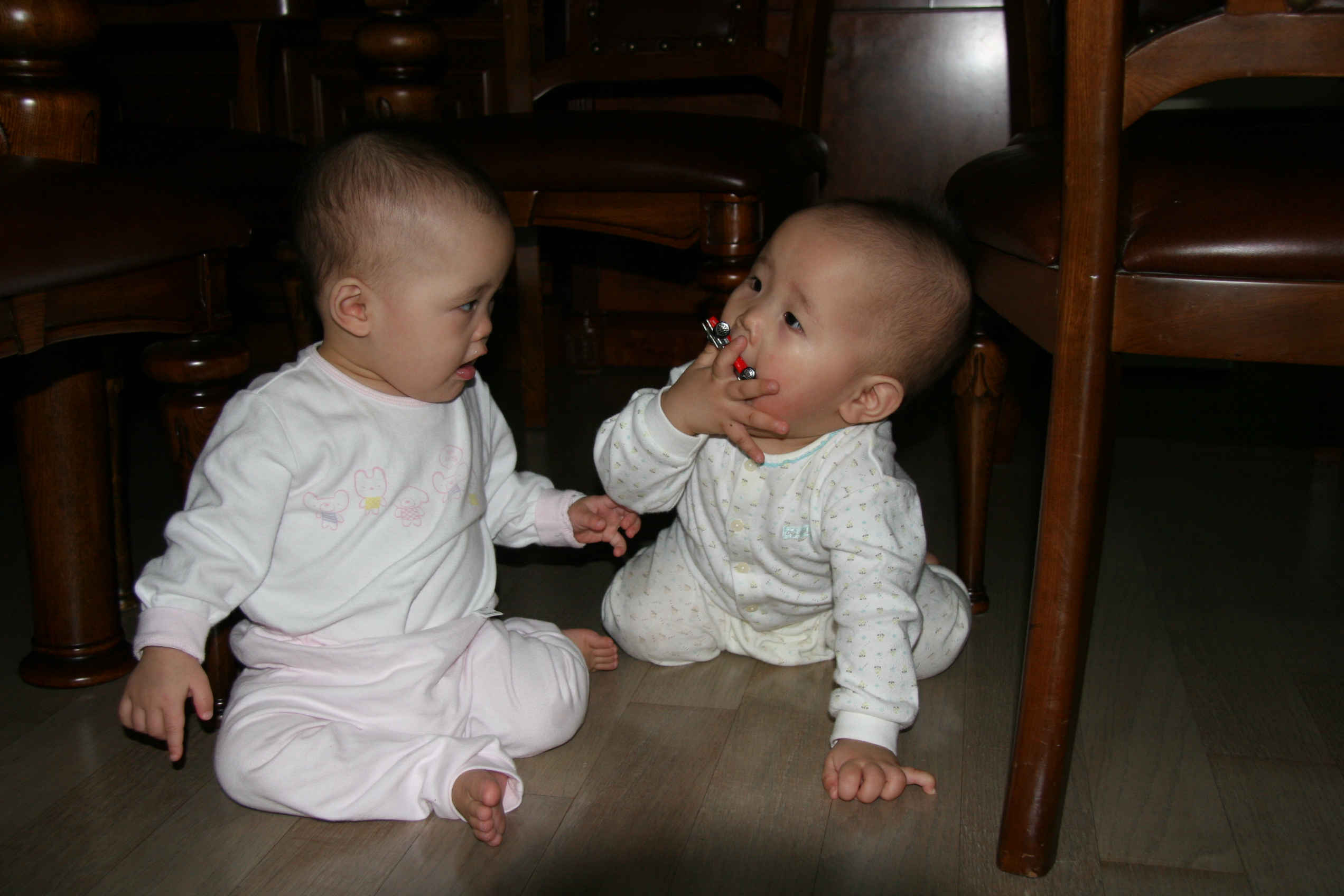 IMG_7747.JPG