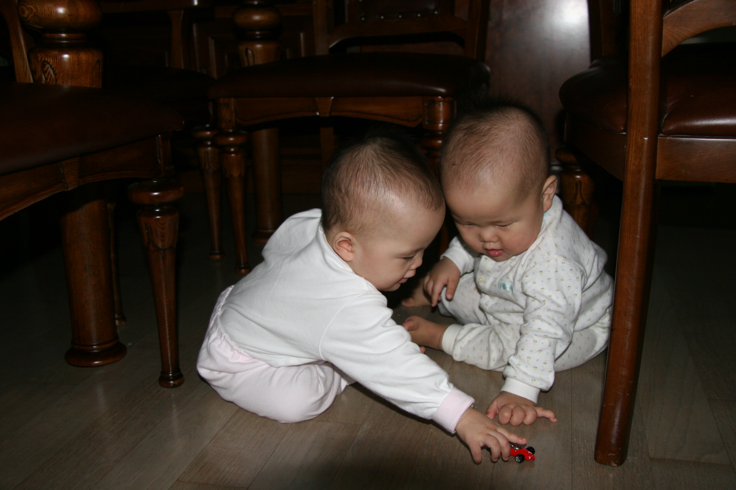 IMG_7748.JPG