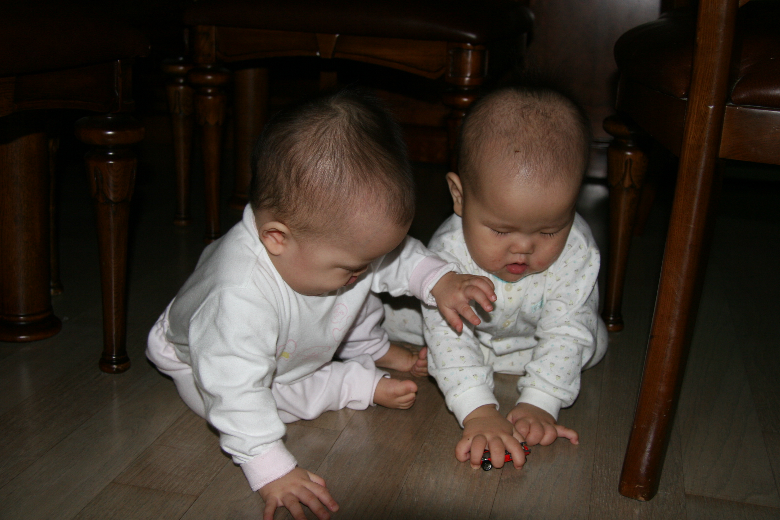 IMG_7749.JPG