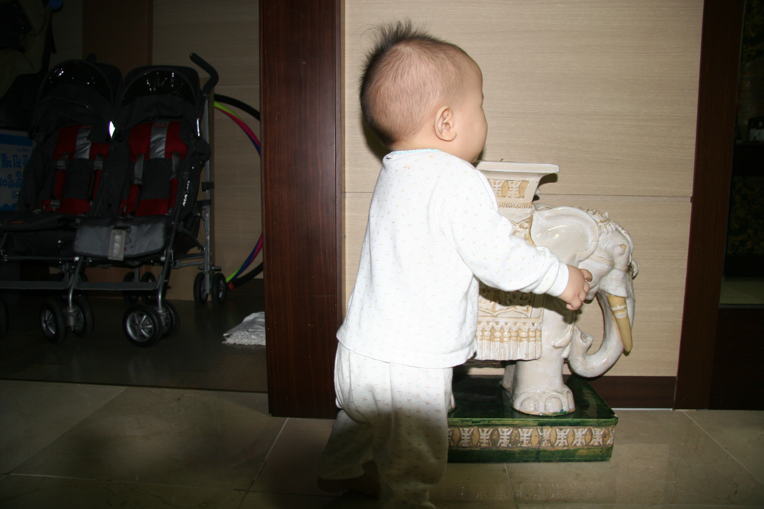 IMG_7750.JPG