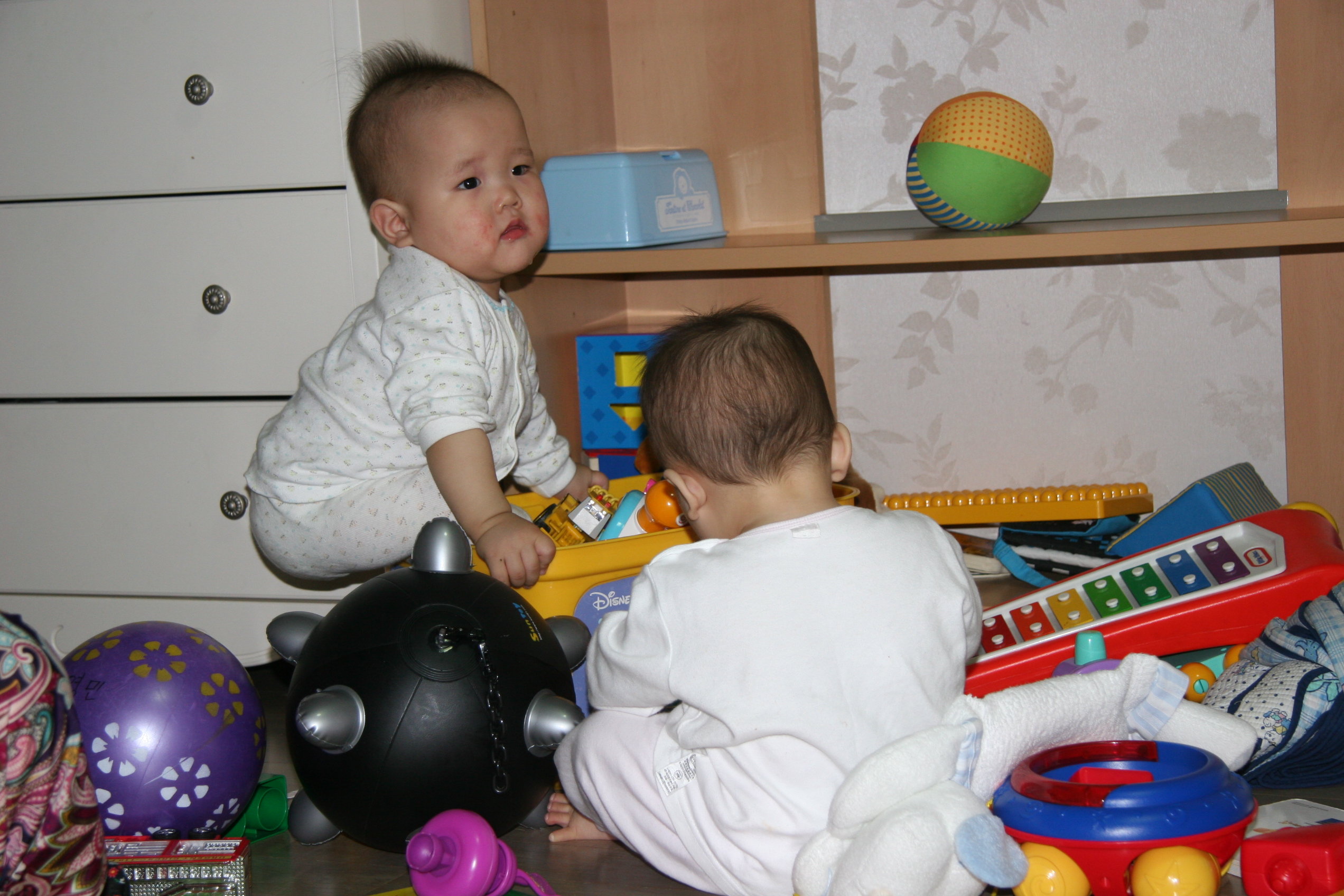 IMG_7764.JPG