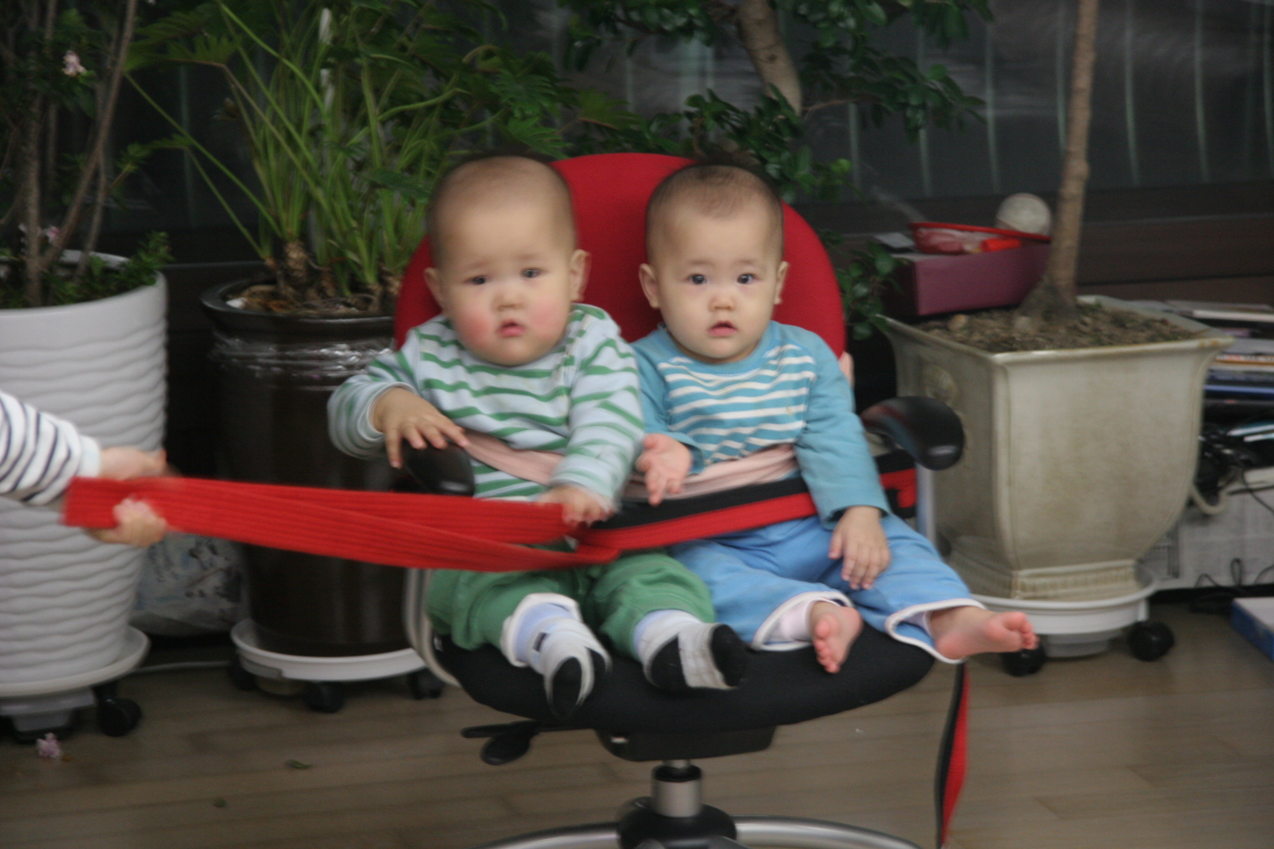 민재민성_2008-02-17 오후 9-16-05.jpg
