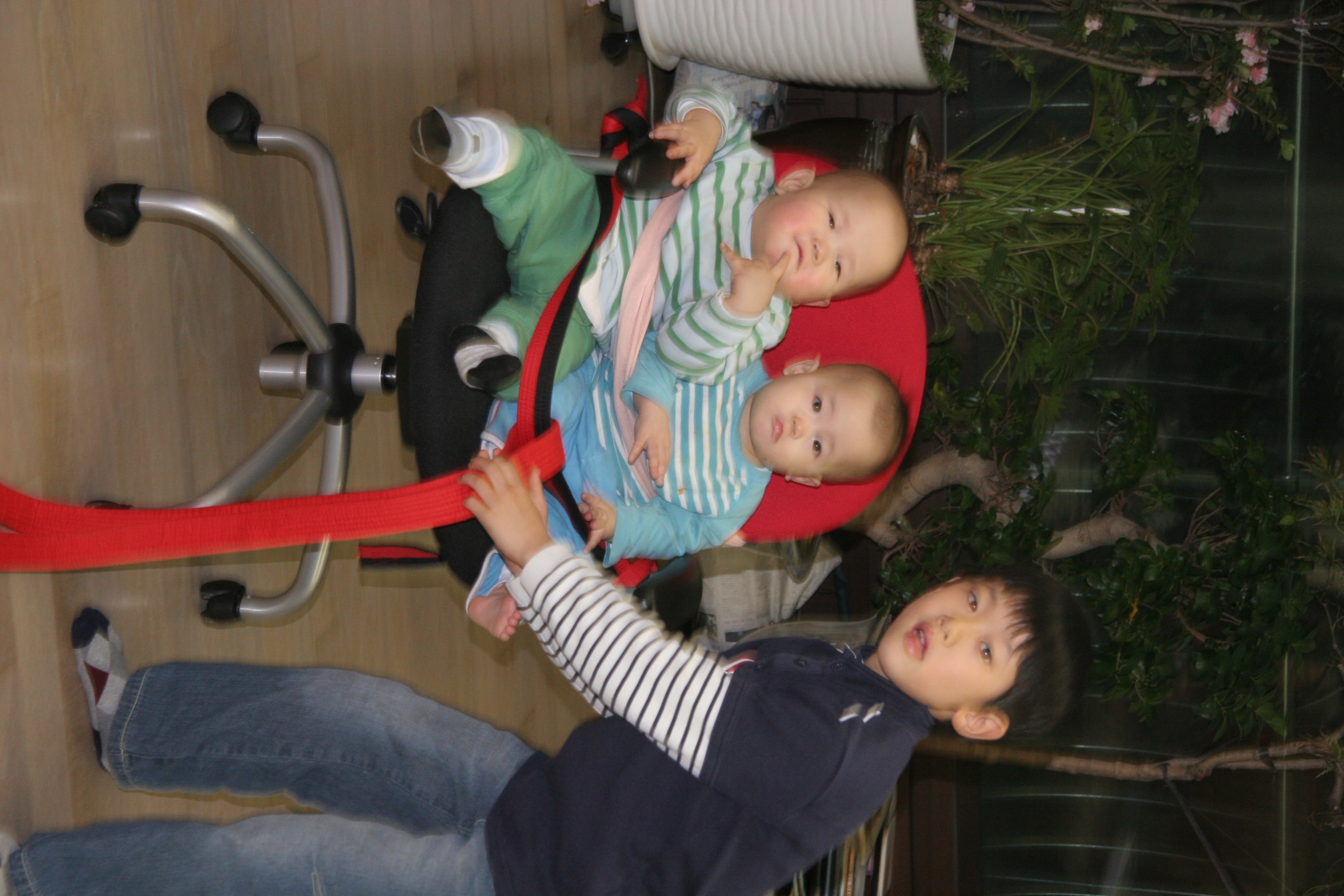 민재민성_2008-02-17 오후 9-16-32.jpg