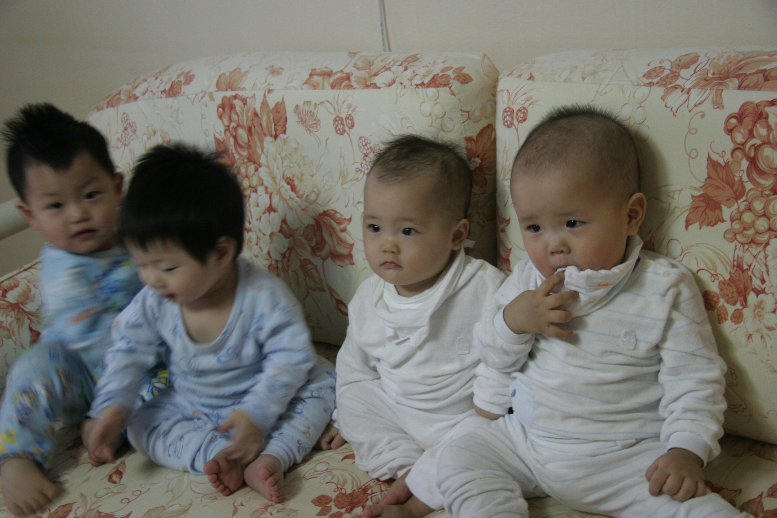 민재민성_2008-03-02 오후 5-58-16.jpg