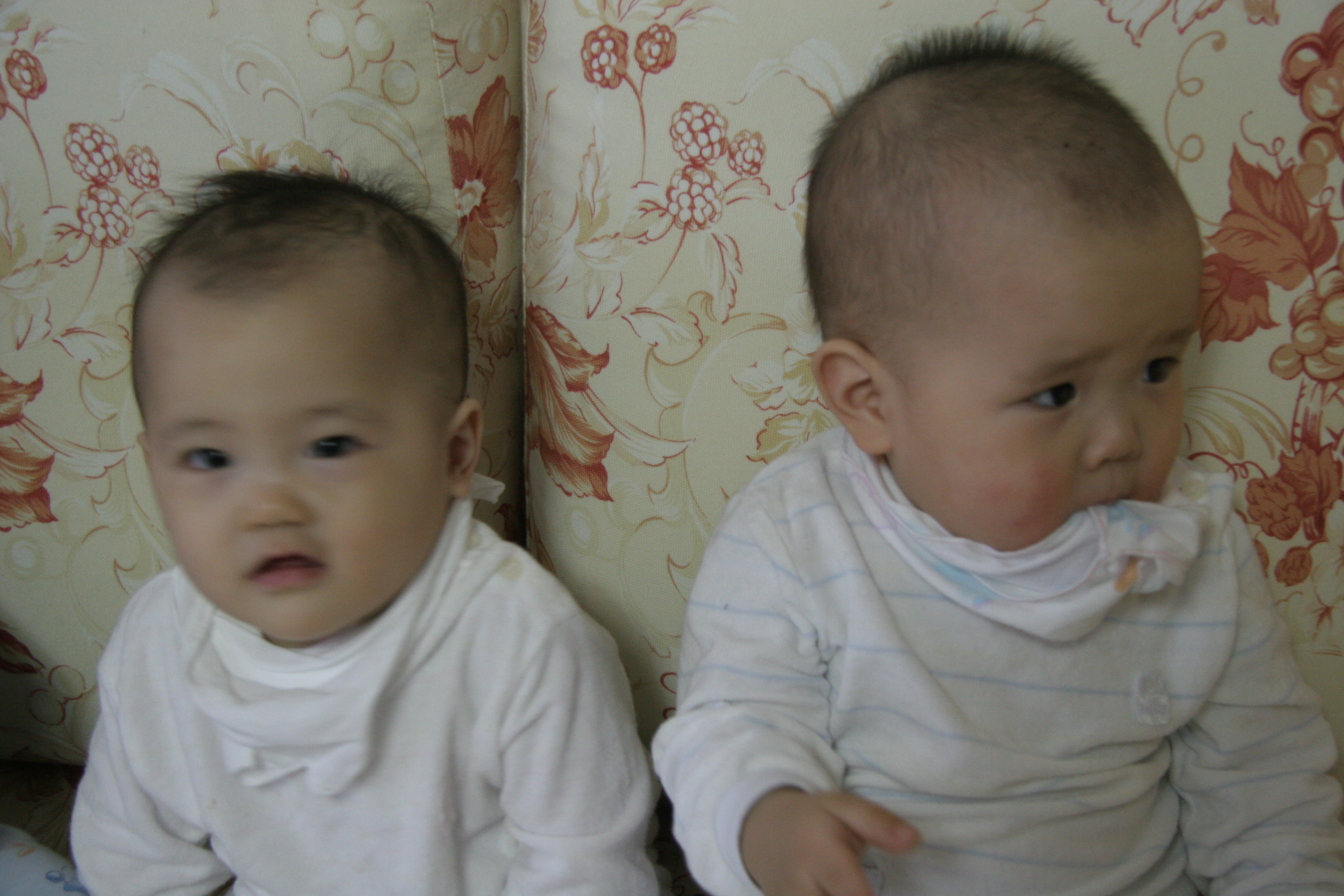 민재민성_2008-03-02 오후 5-58-30.jpg