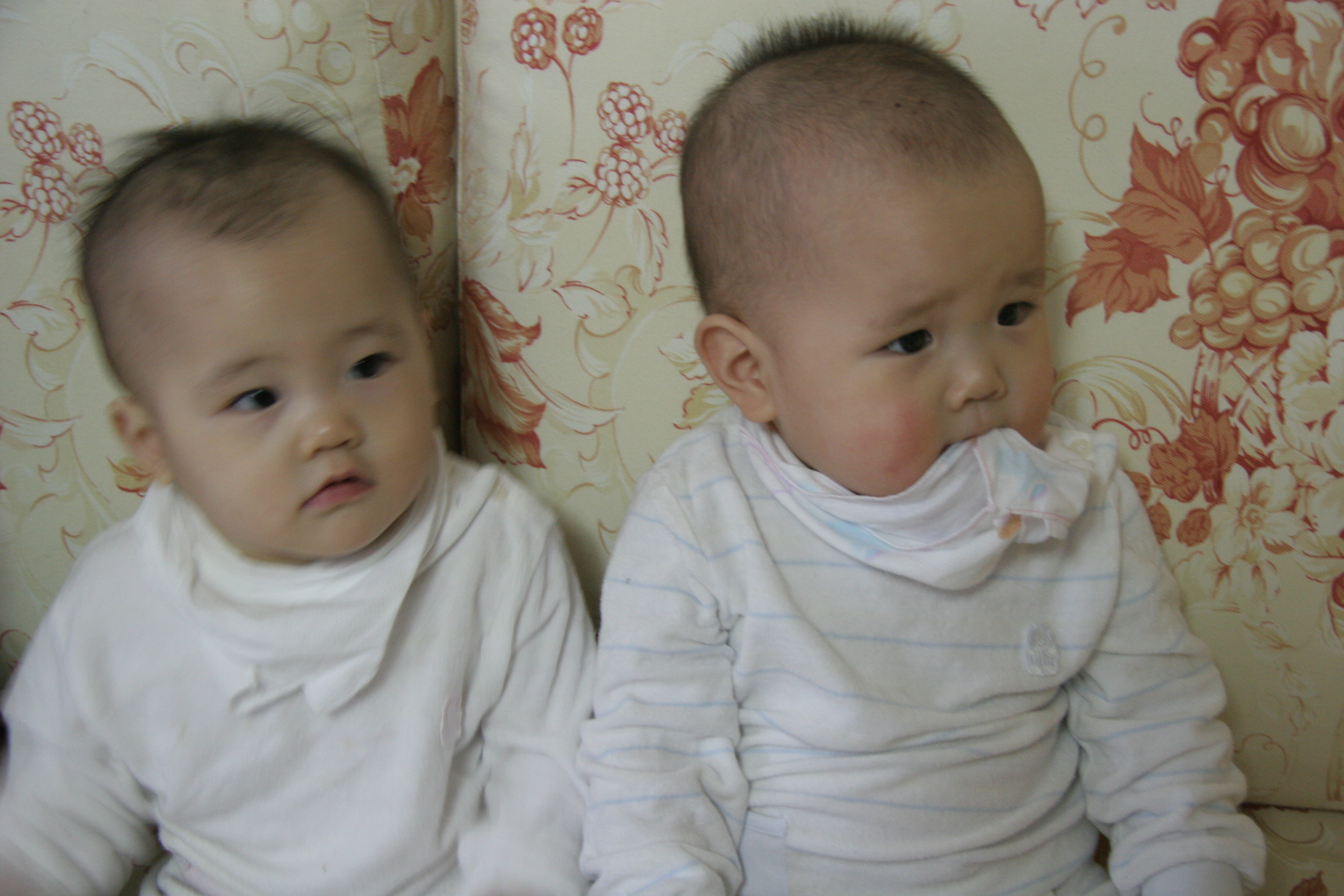 민재민성_2008-03-02 오후 5-58-32.jpg