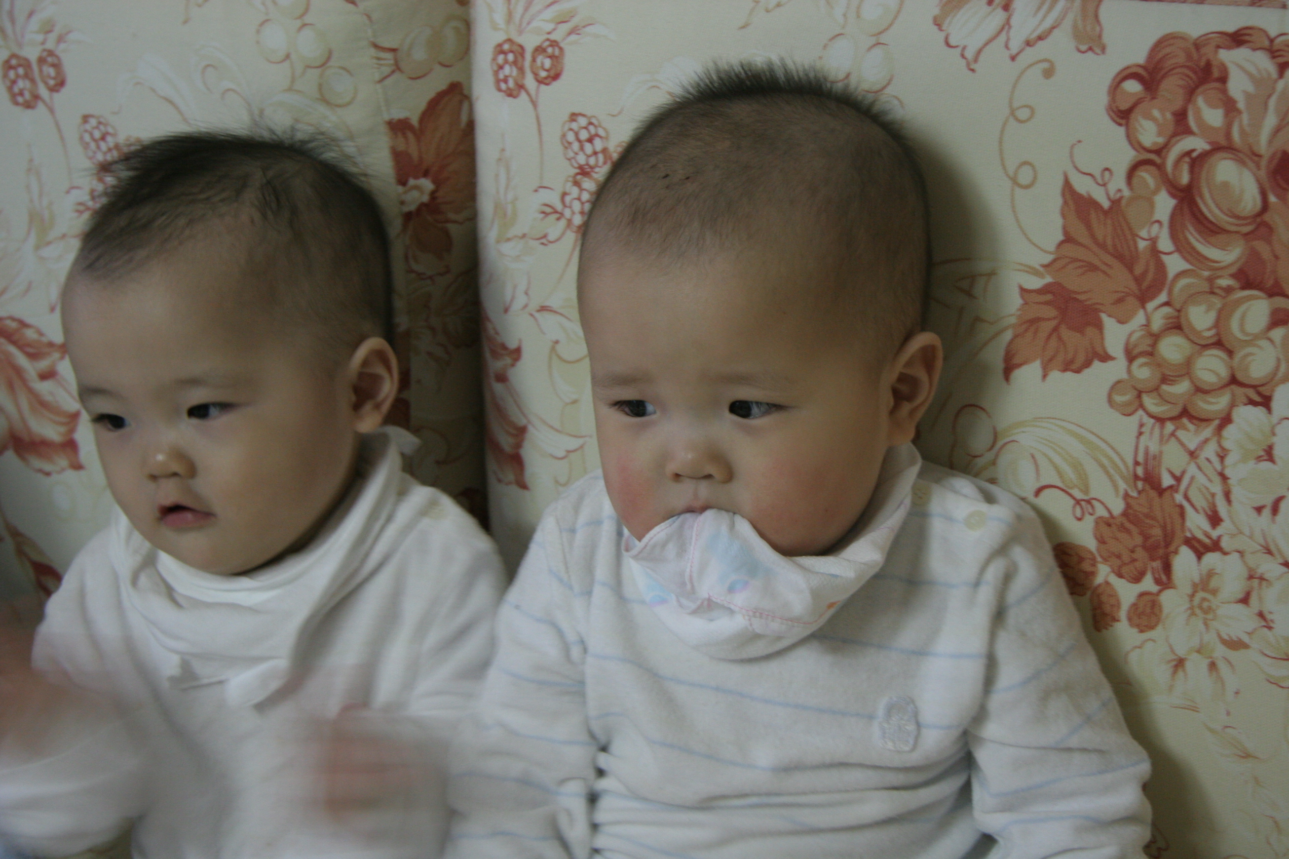 민재민성_2008-03-02 오후 5-58-58.jpg