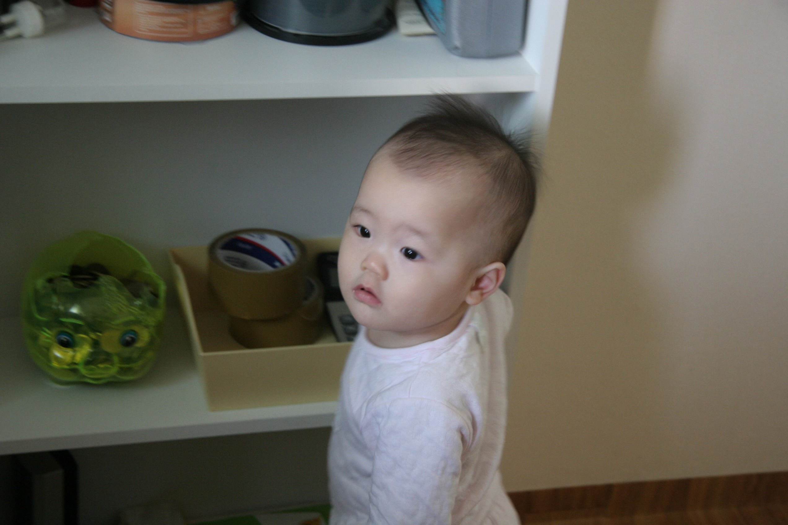 민재민성_2008-03-17 오전 9-42-26.jpg
