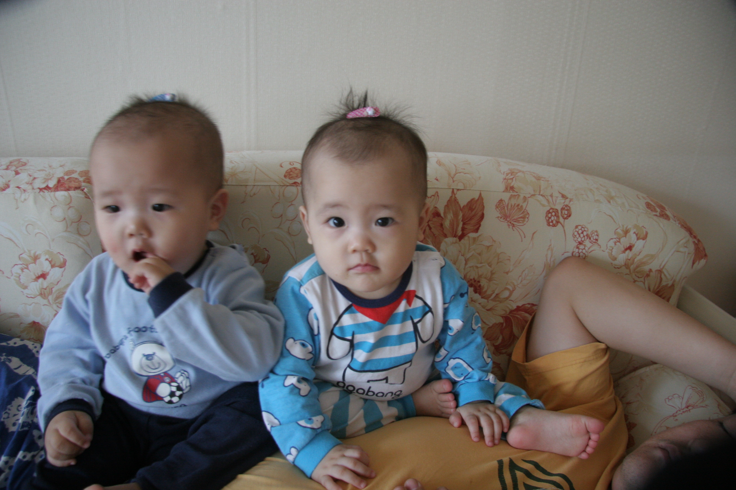 민재민성_2008-03-23 오전 11-46-22.jpg