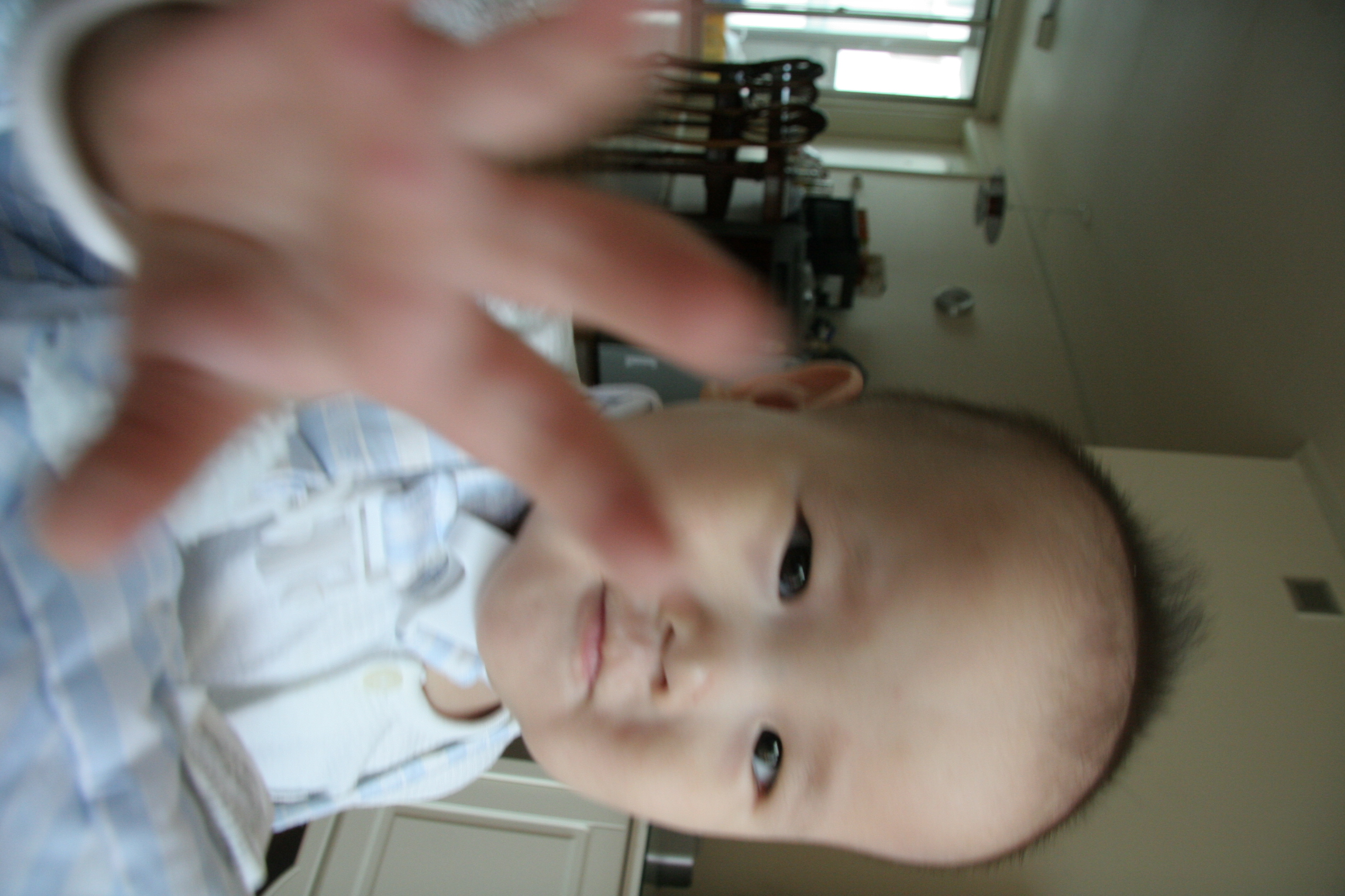 IMG_8398.JPG